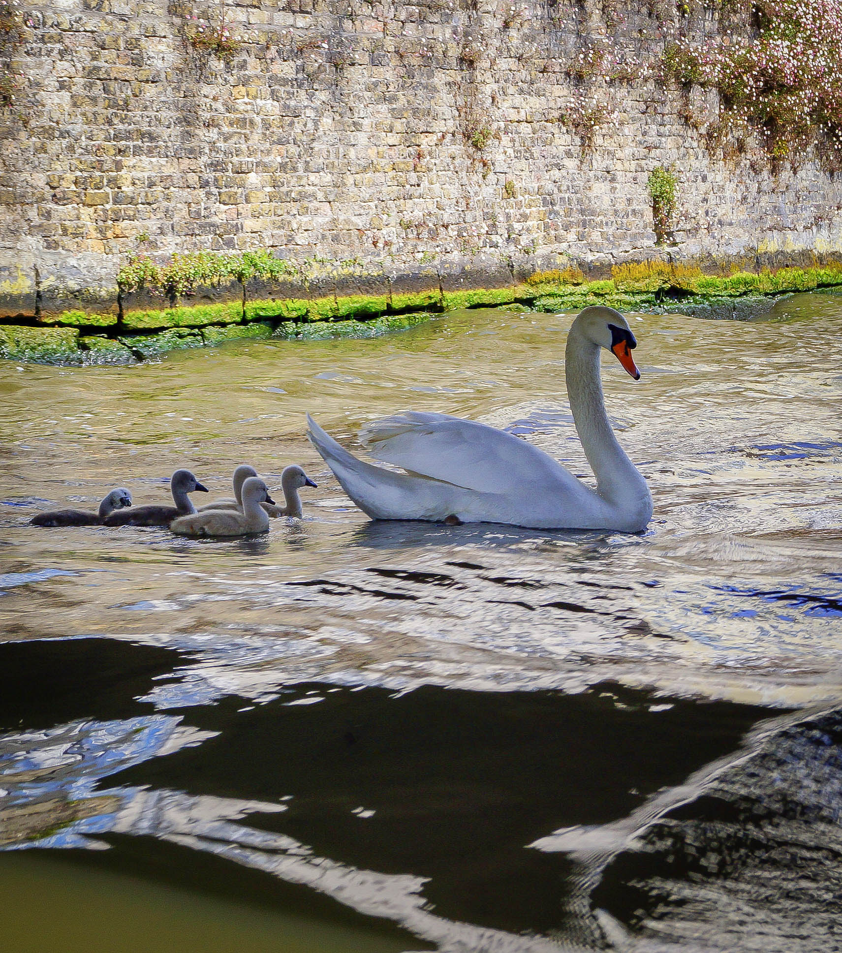 En famille