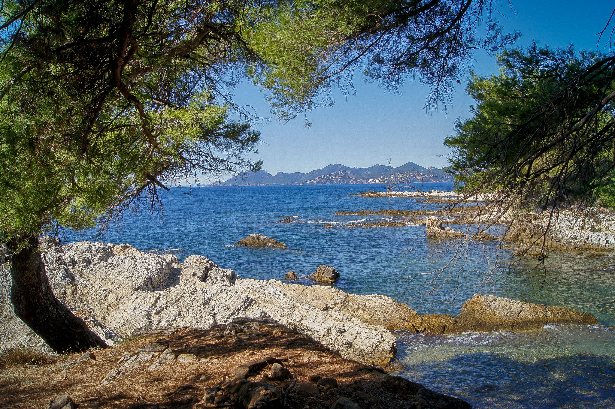 Entre plage et forêt