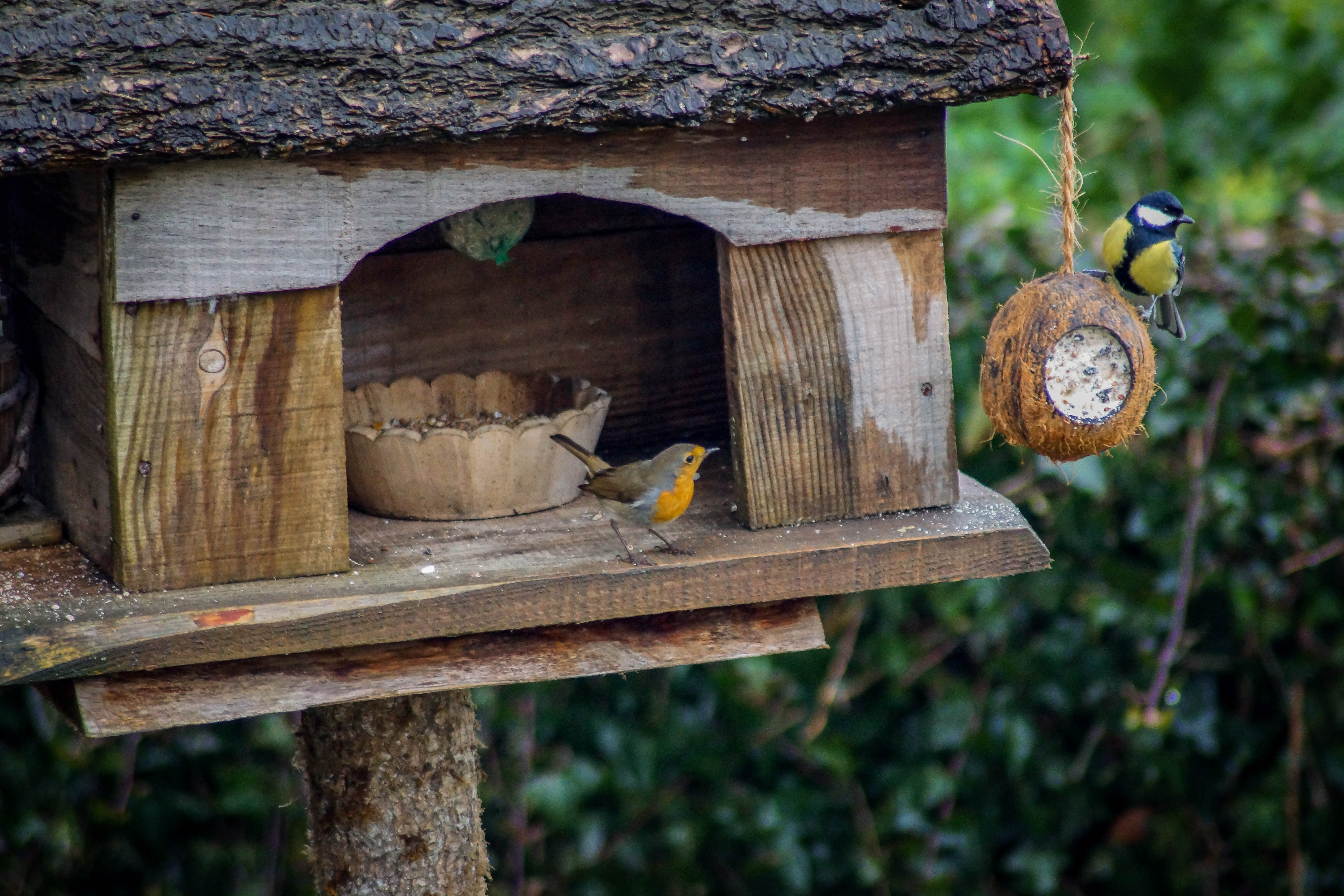 C’est l’heure de manger !