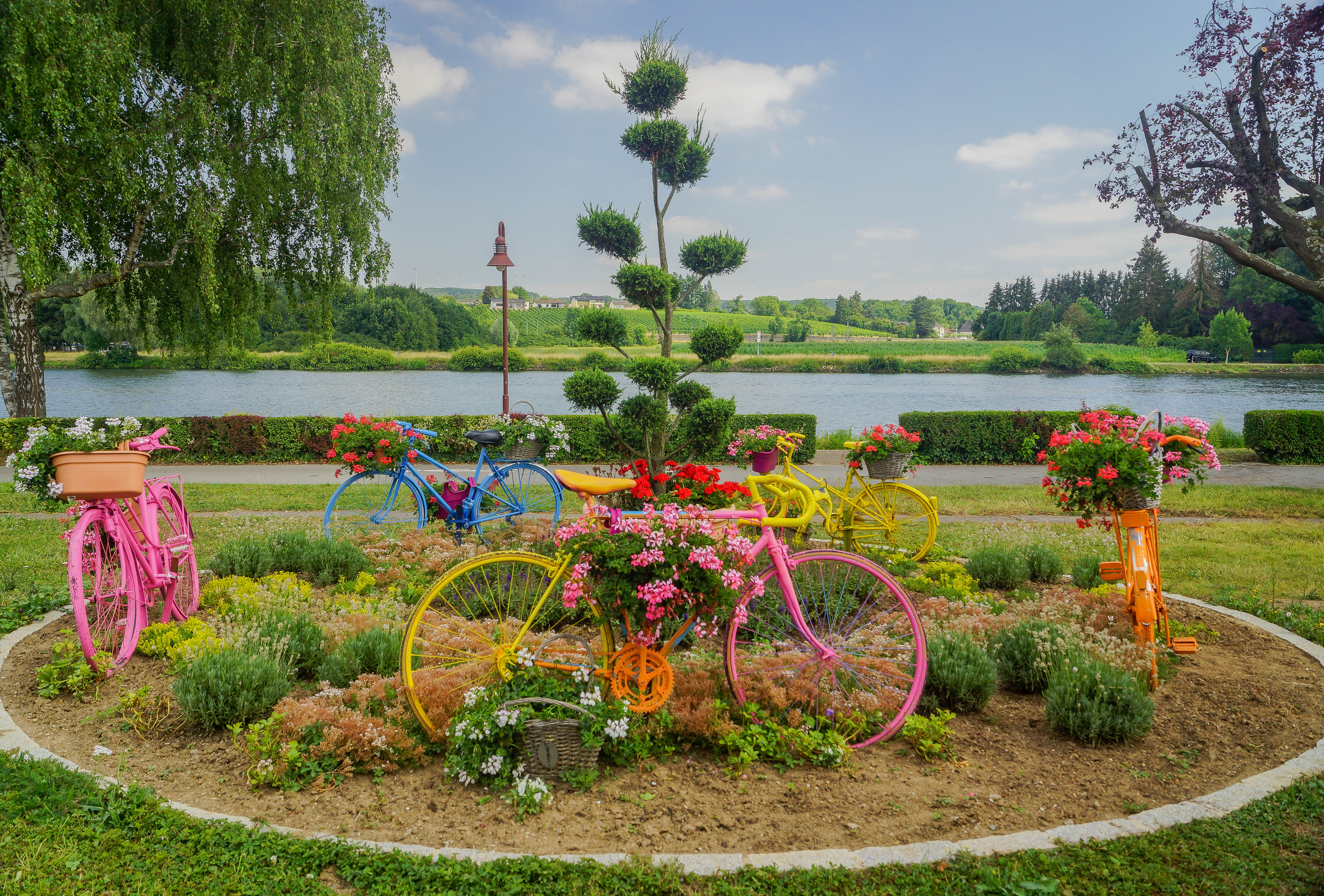 Vélos en fleurs