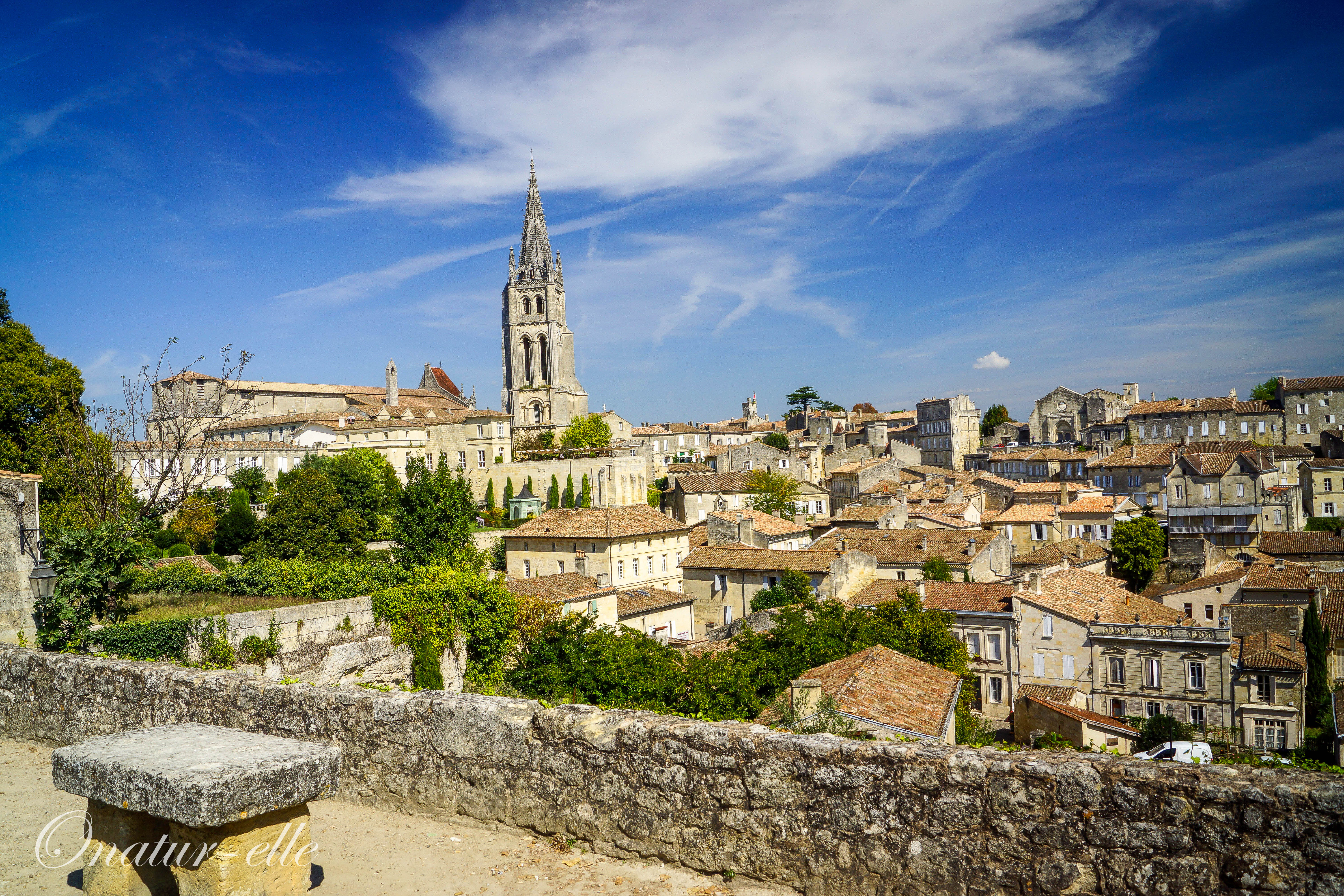 Toits de Saint-Emilion