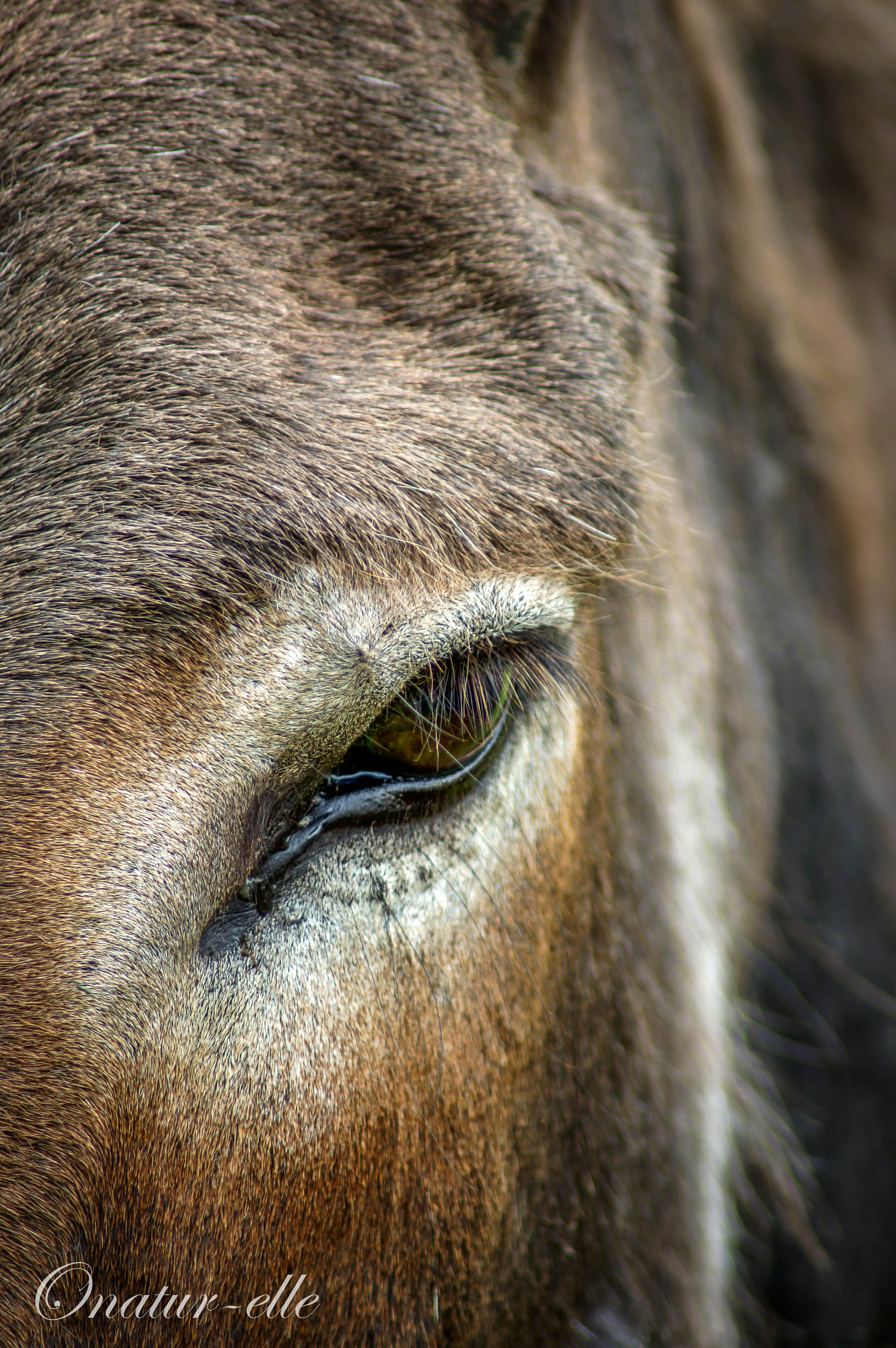 Dans les yeux