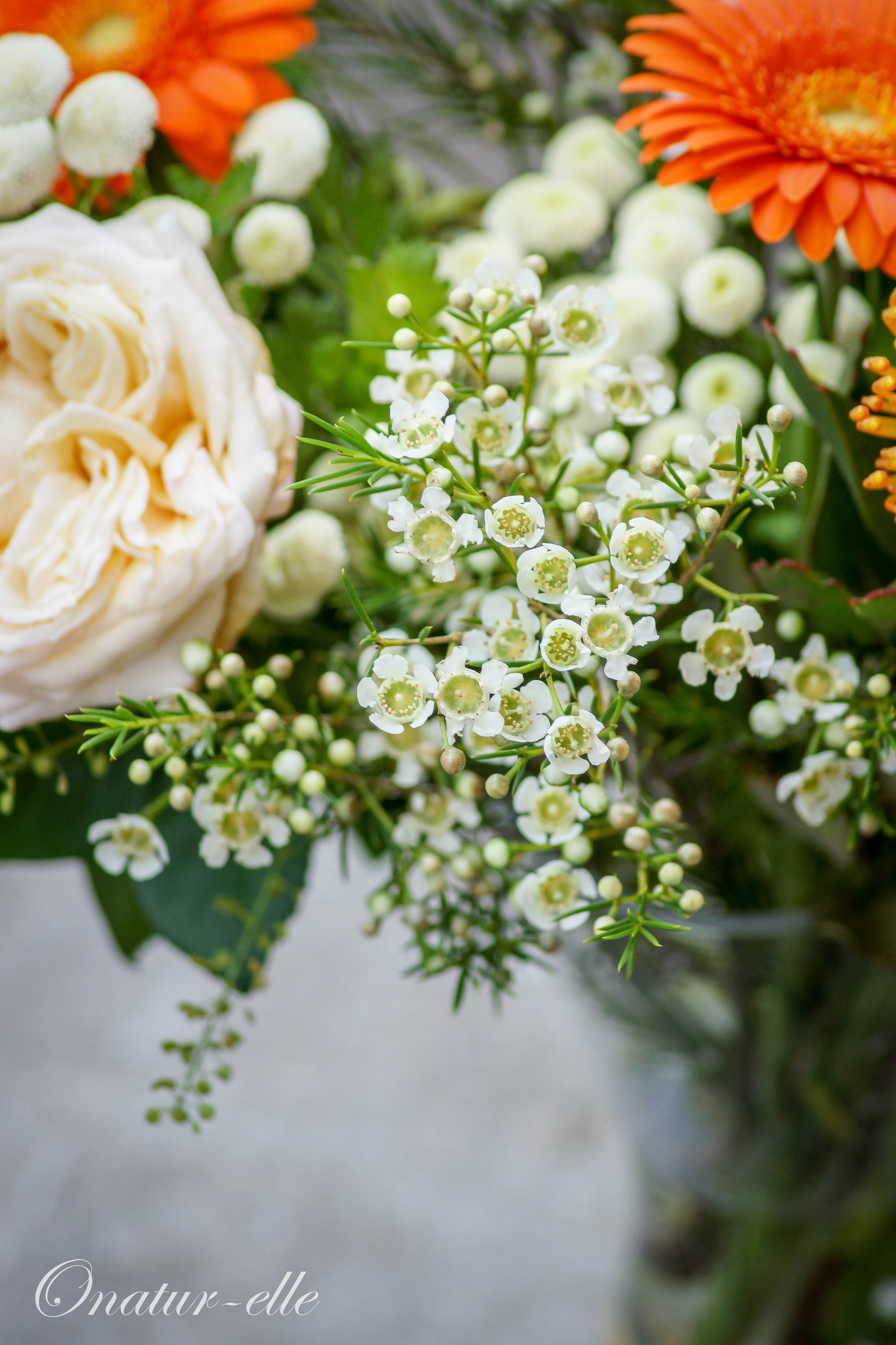 Bouquet champêtre (2)