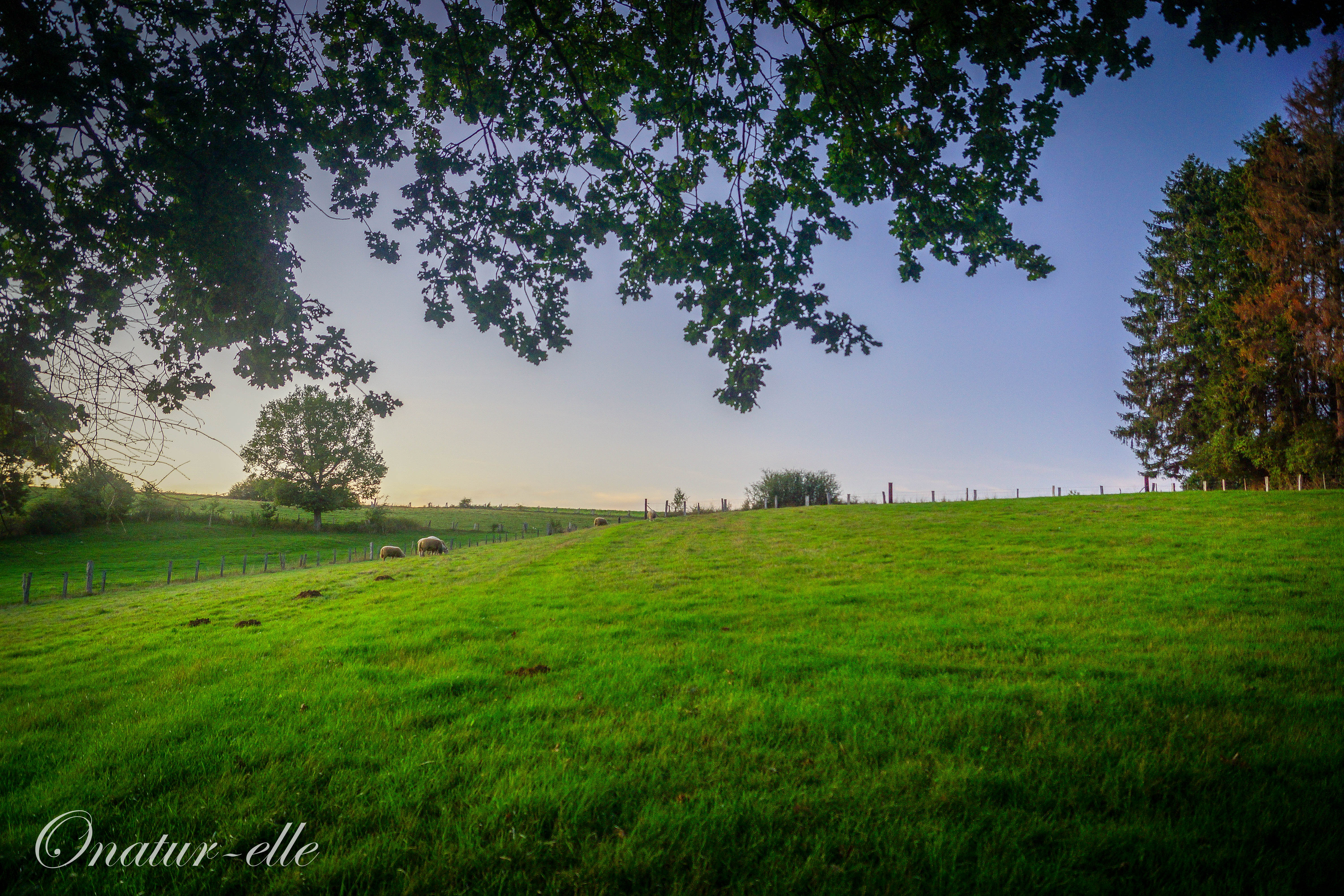 Paysage de Gaume