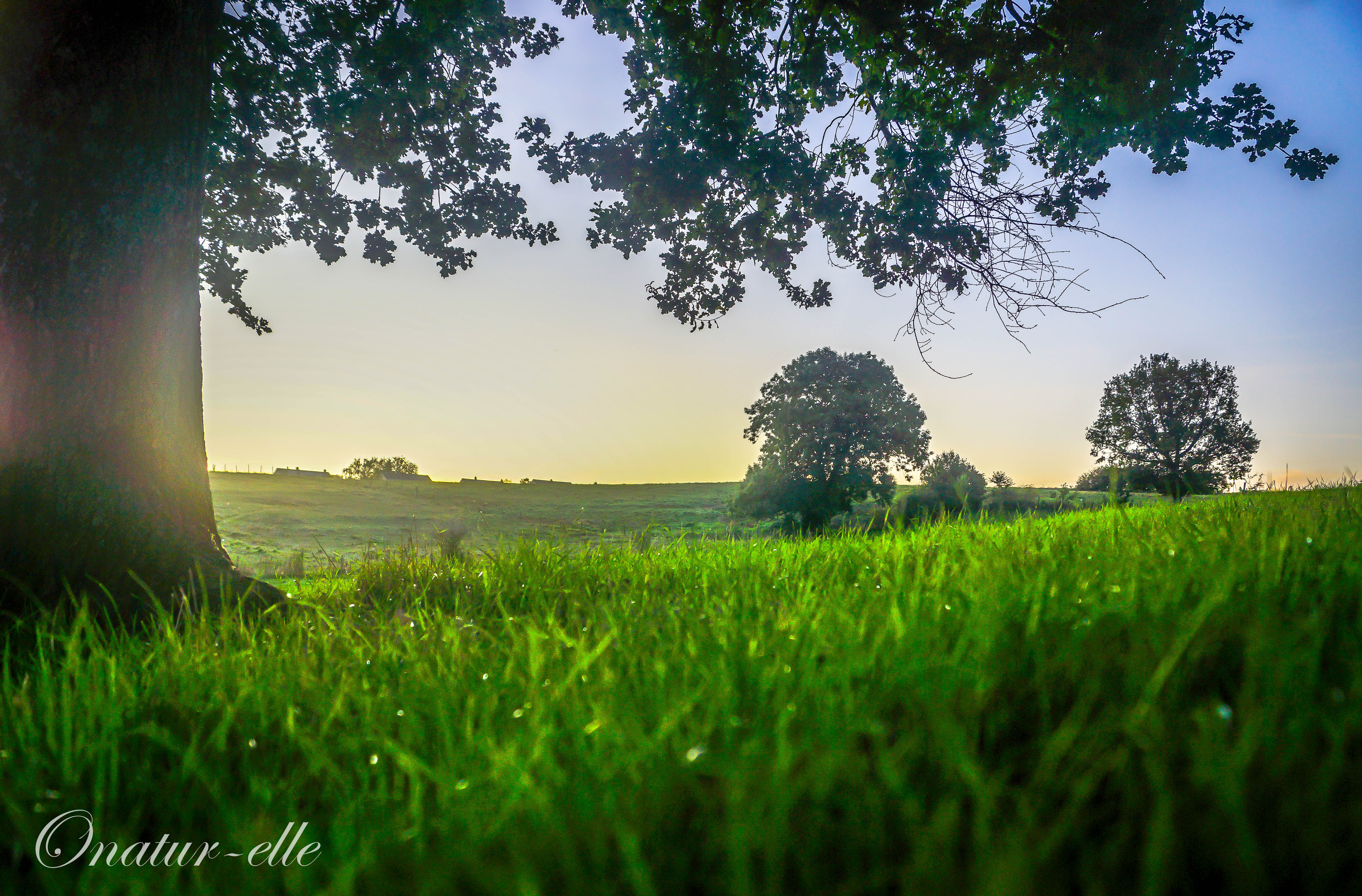 Paysage de Gaume (2)