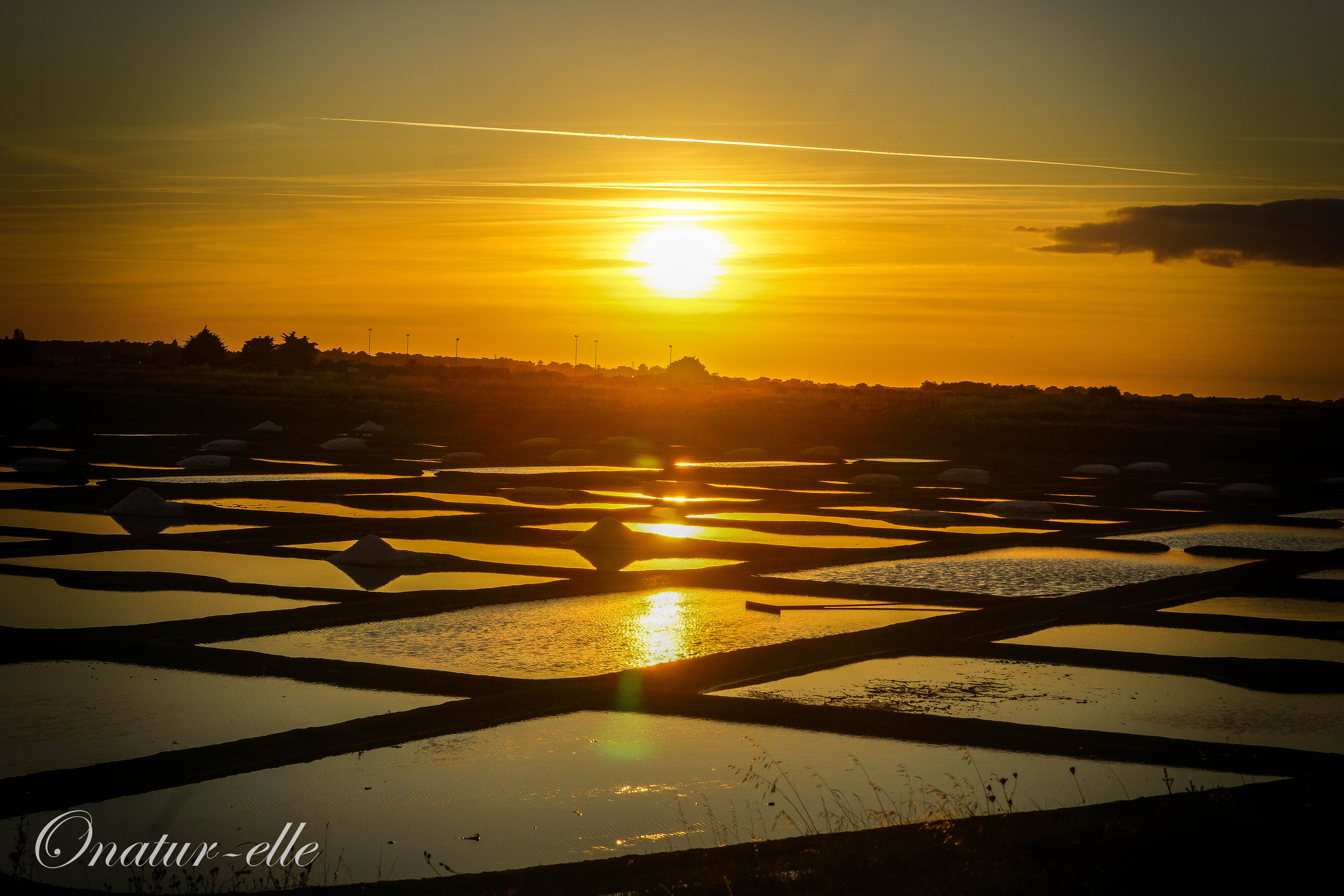 La nuit tombe sur les marais