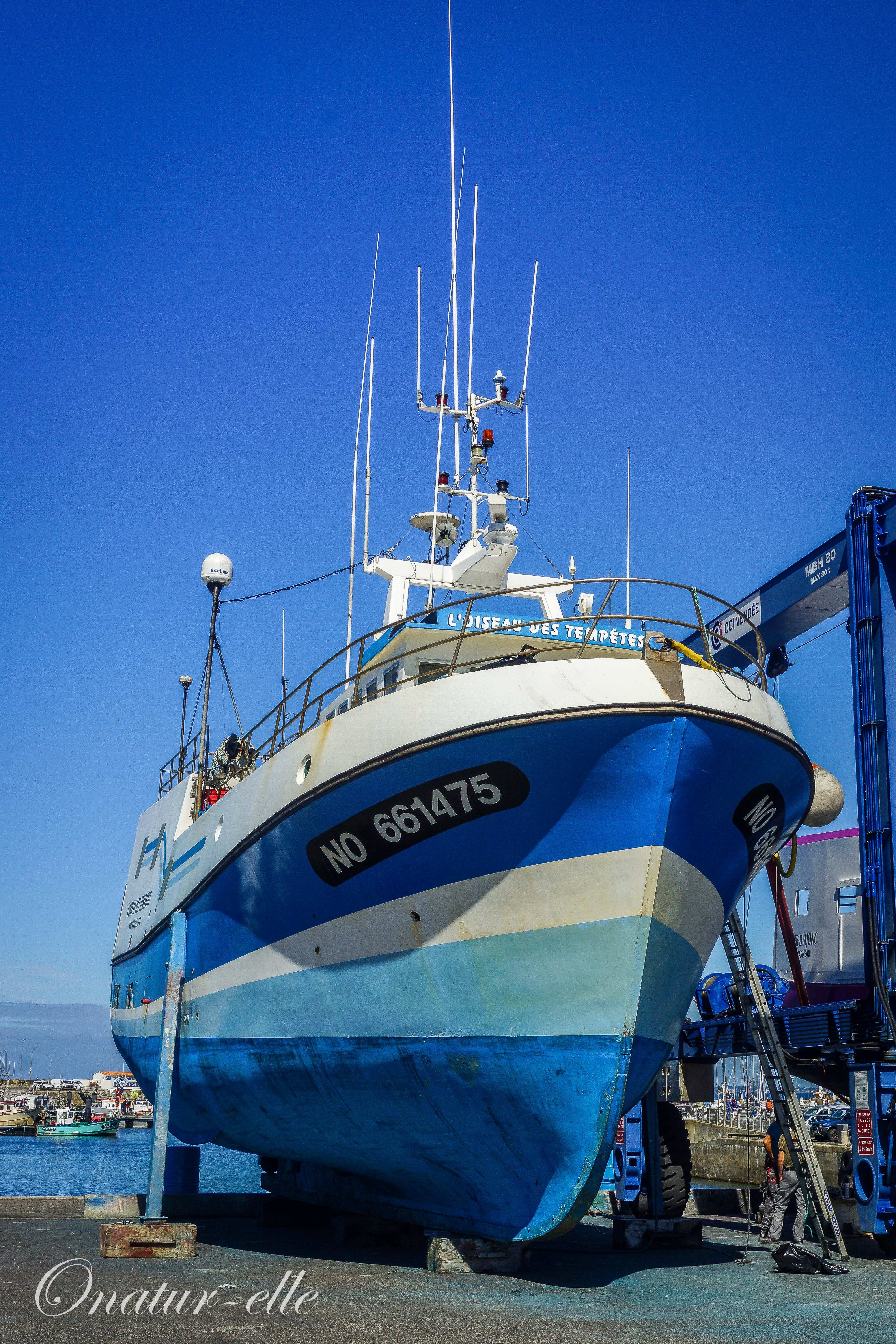 Bateau au port