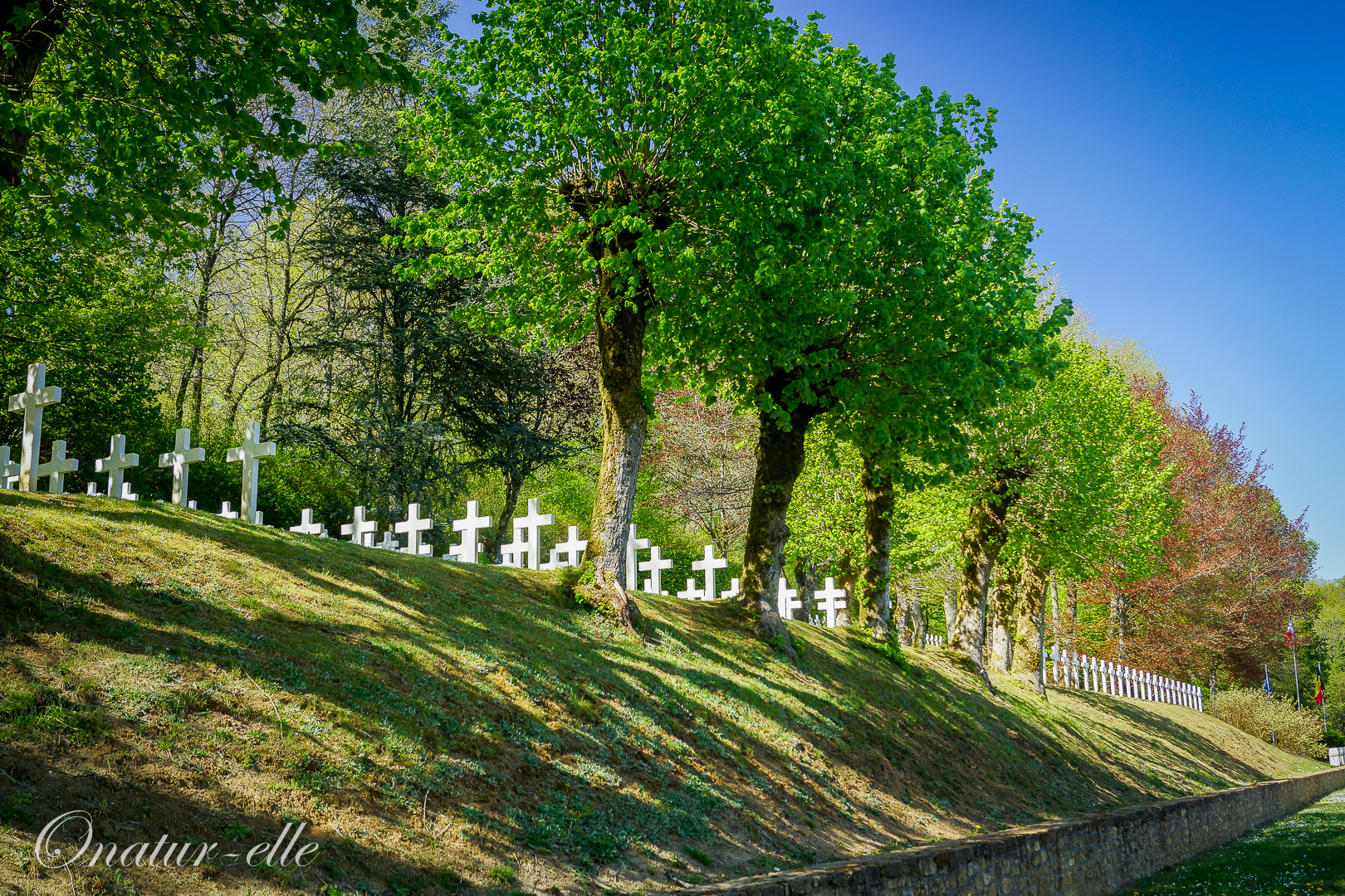 Cimetière militaire