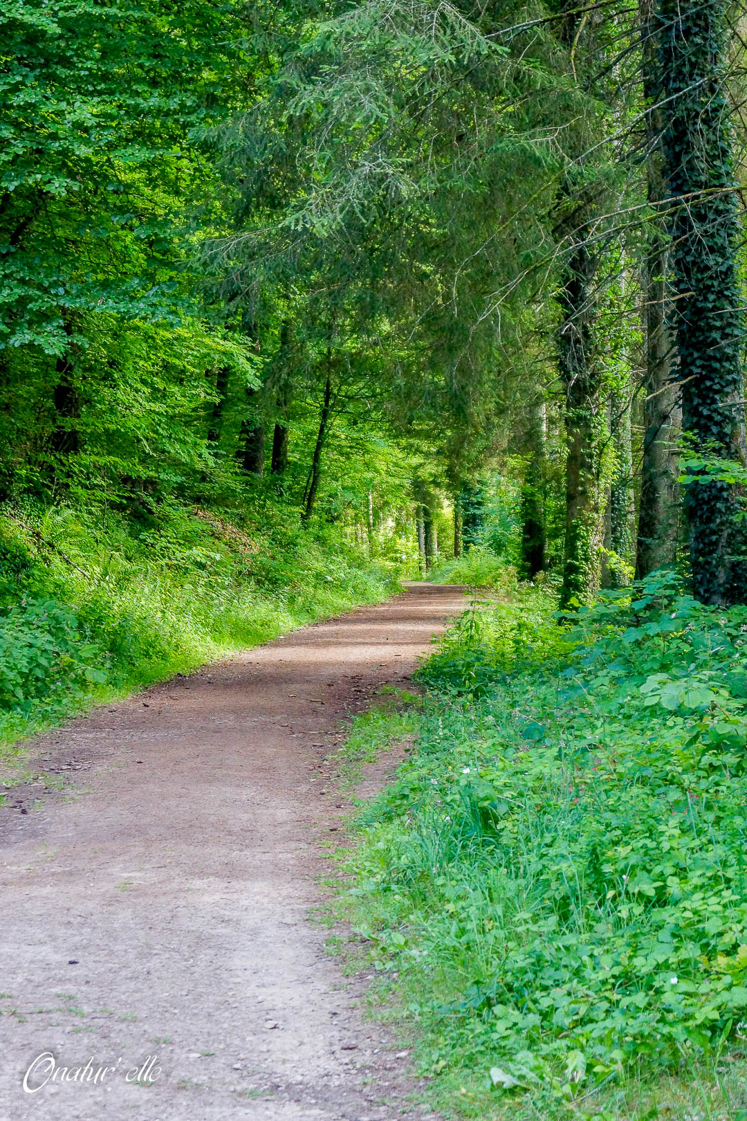 Sentier des songes (6)