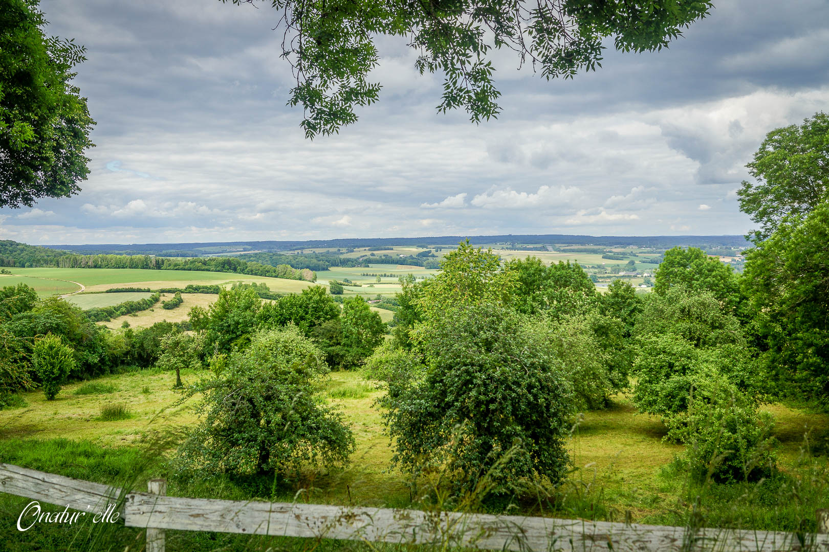 Vue panoramique depuis les ruines