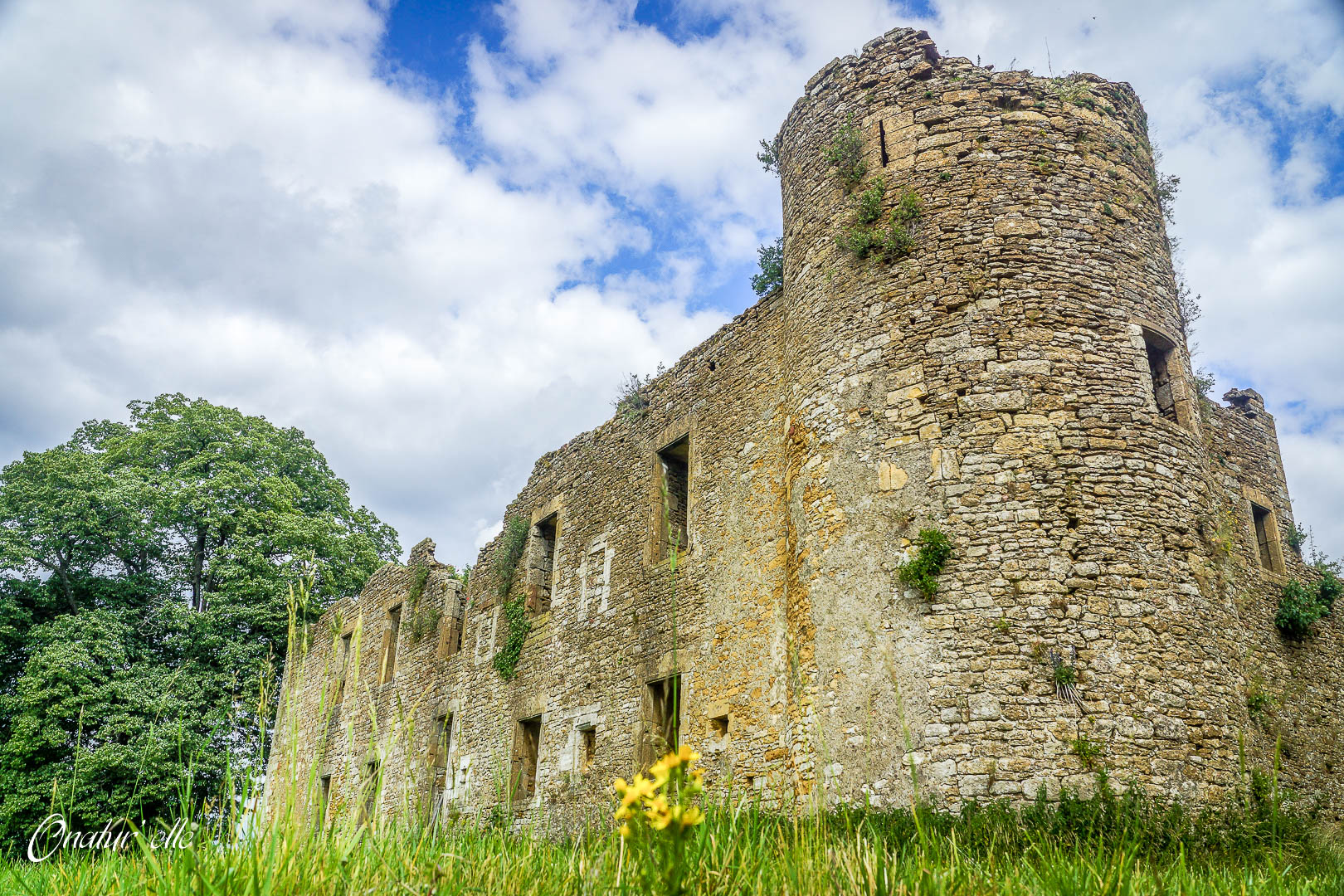 Ruine du château de Montquintin