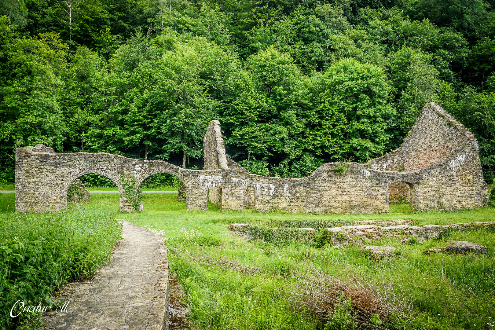 Ruine de Montauban