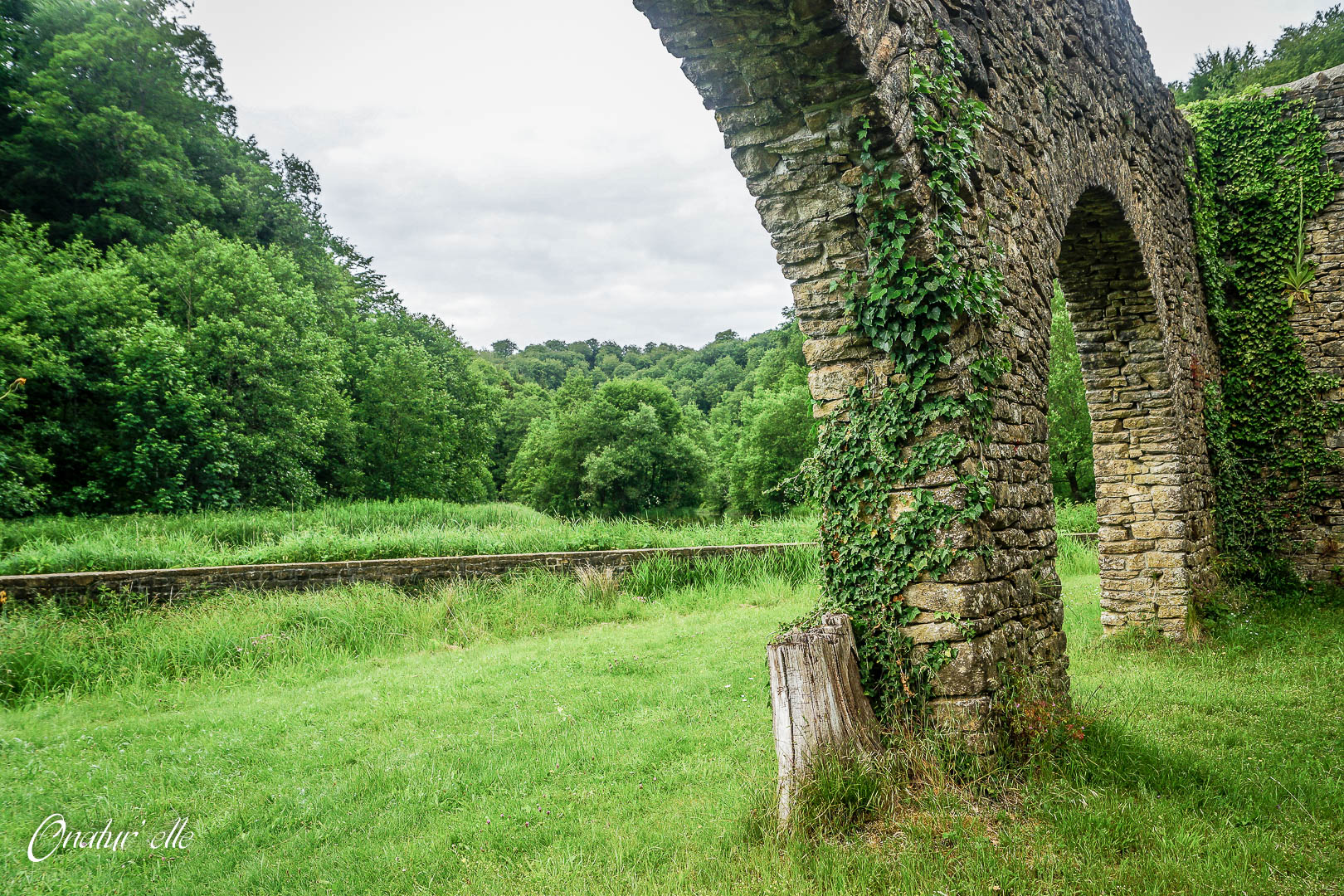 Ruine de Montauban (2)