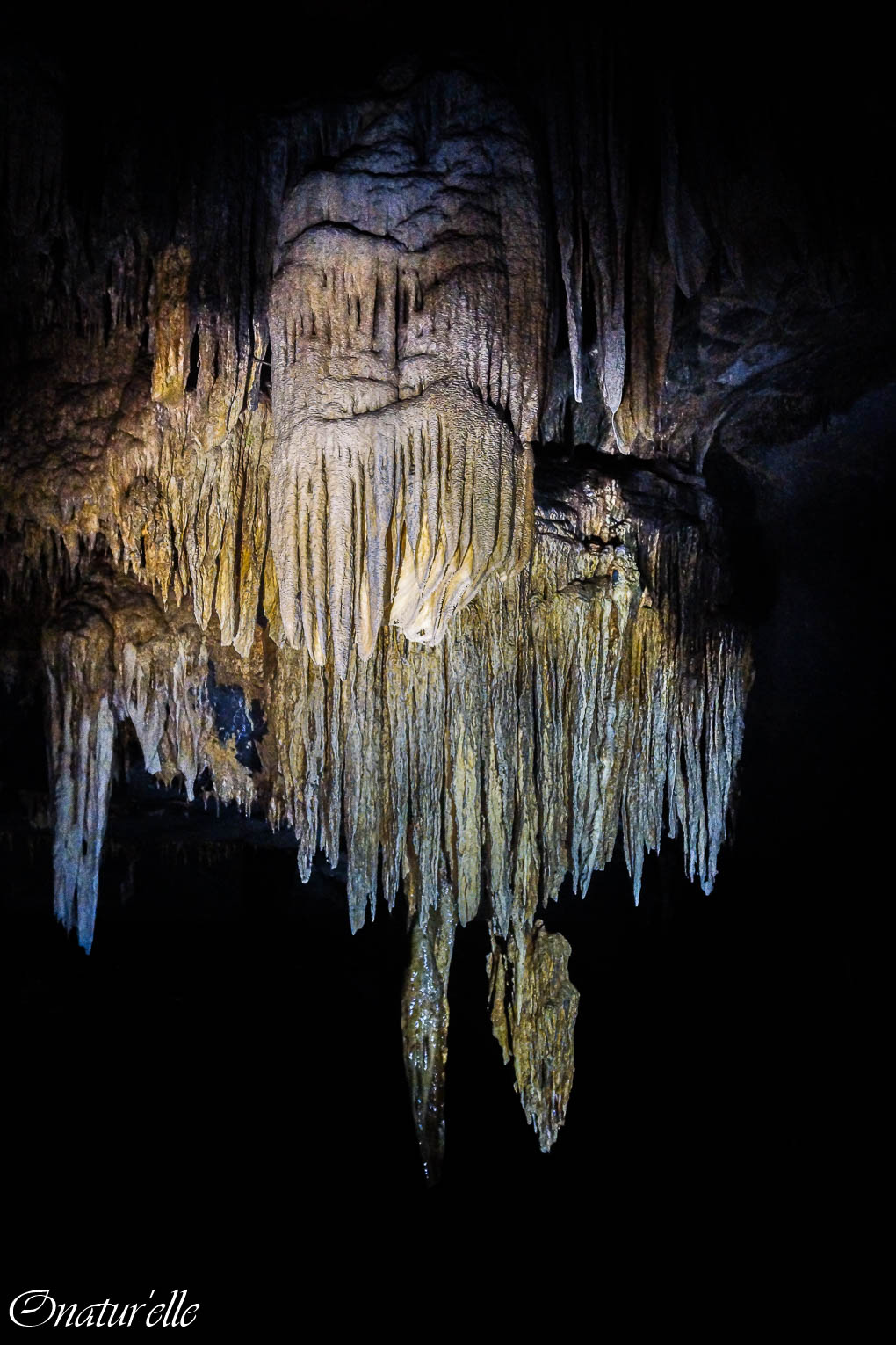 Grottes de Han (2)