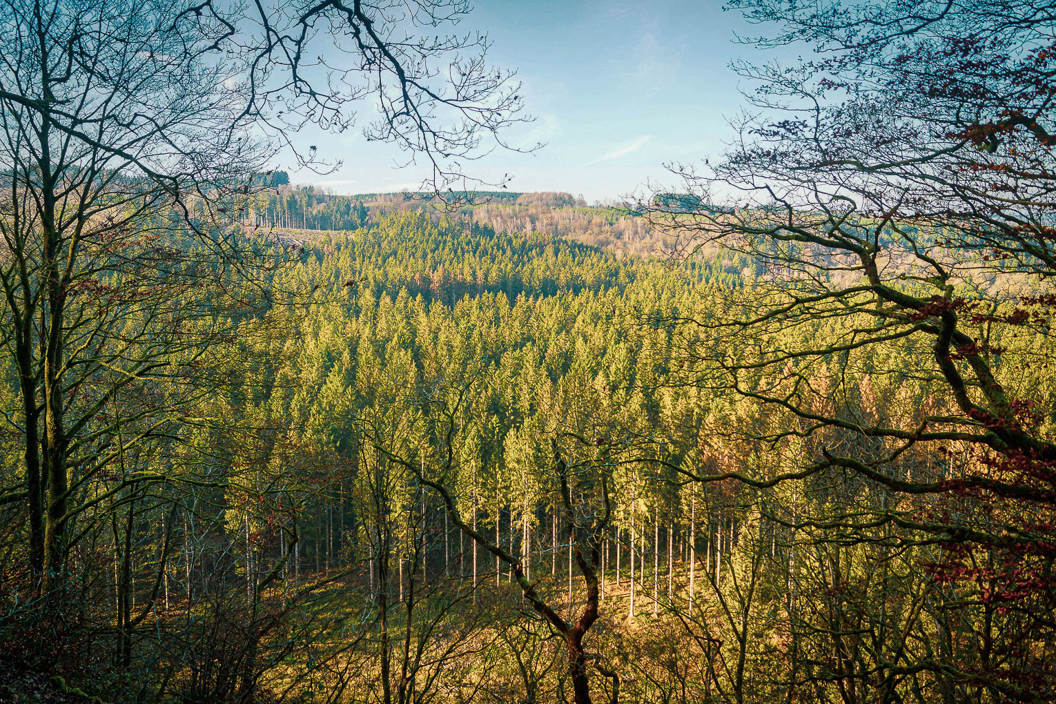 Depuis les bois d’Herbeumont