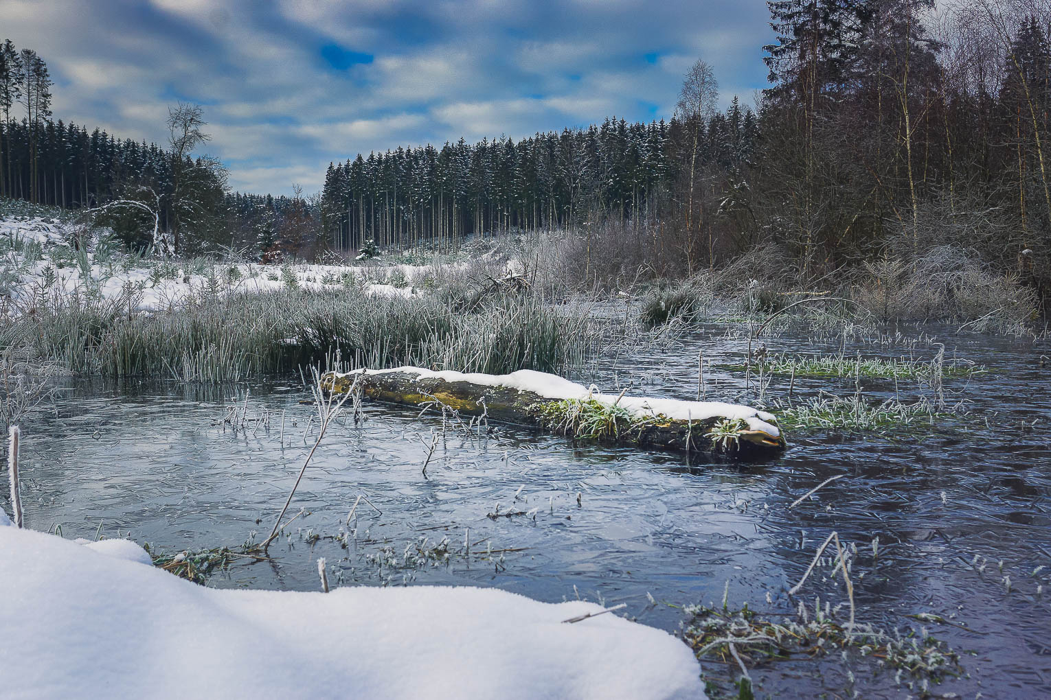 Forêt d’Anlier