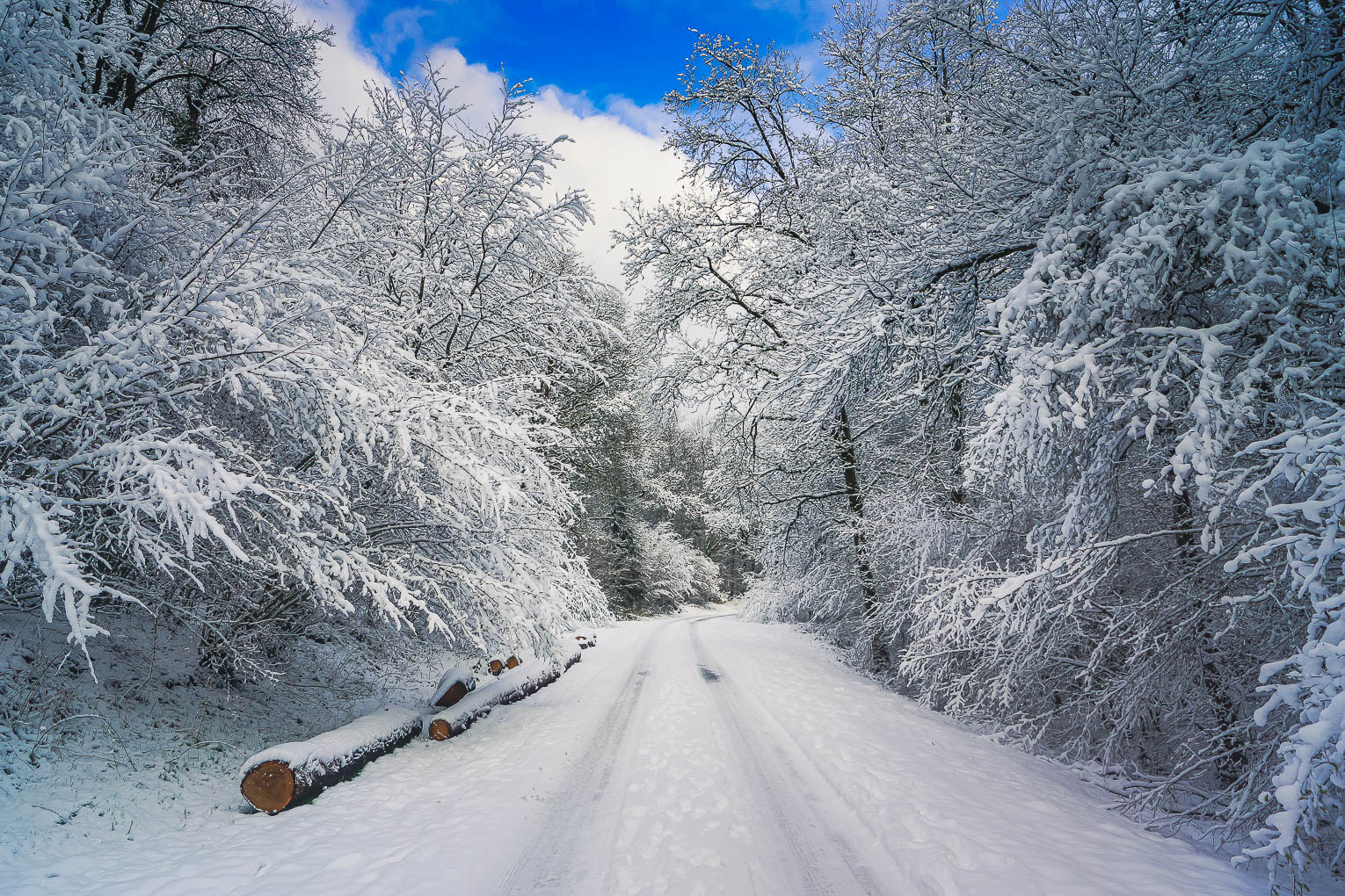 Sentier des songes version hiver