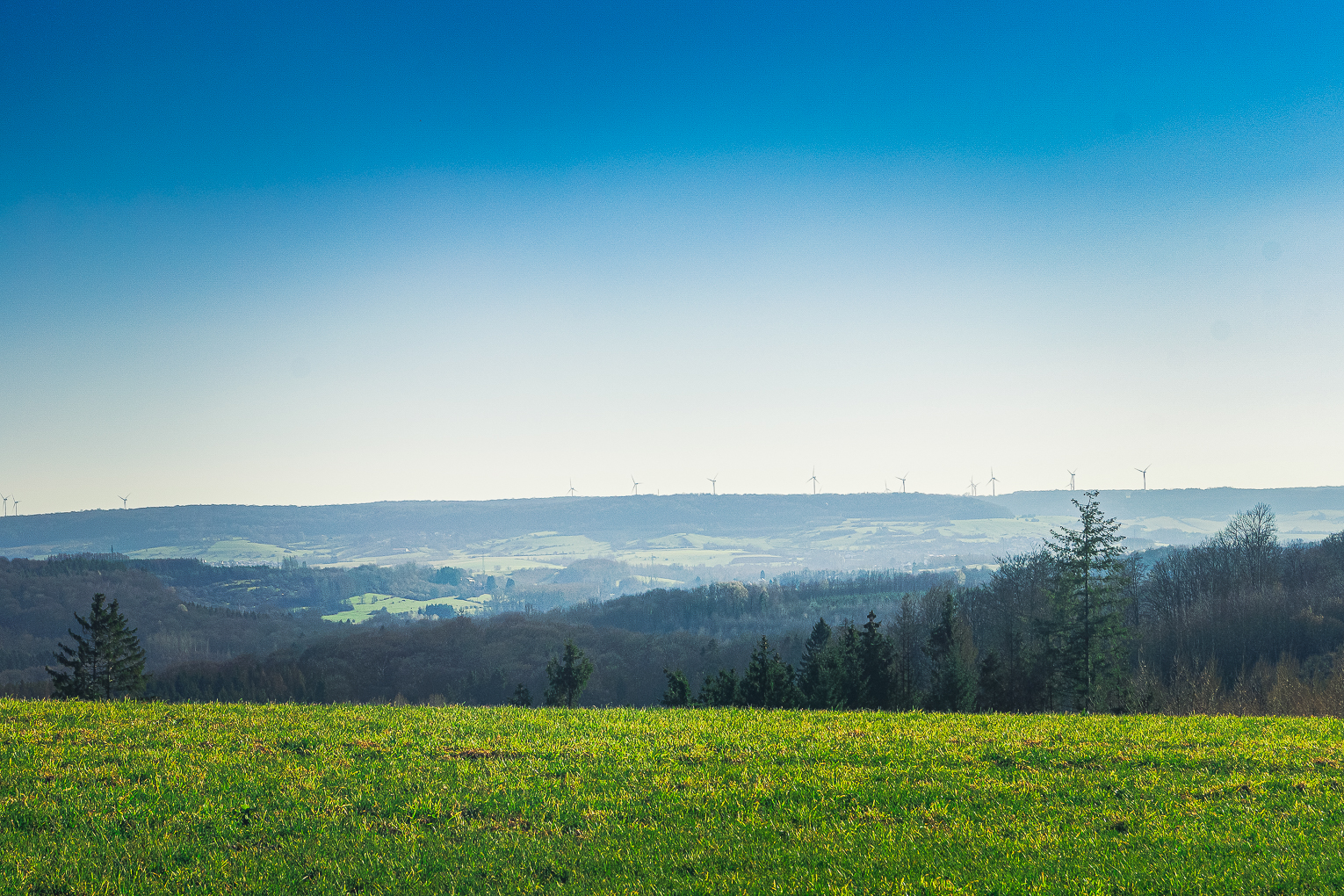 Dans les chemins de prairies à Saint-Léger (2)