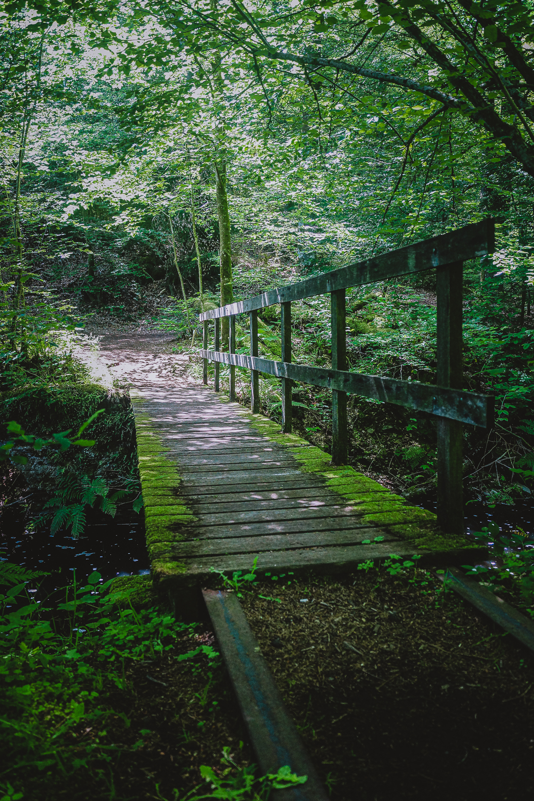 Petit pont style sauvage