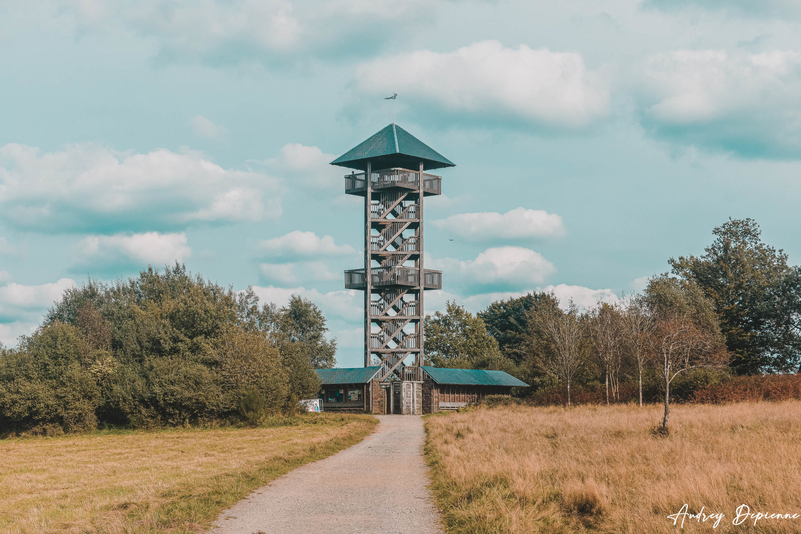 Fagnes de Malchamps