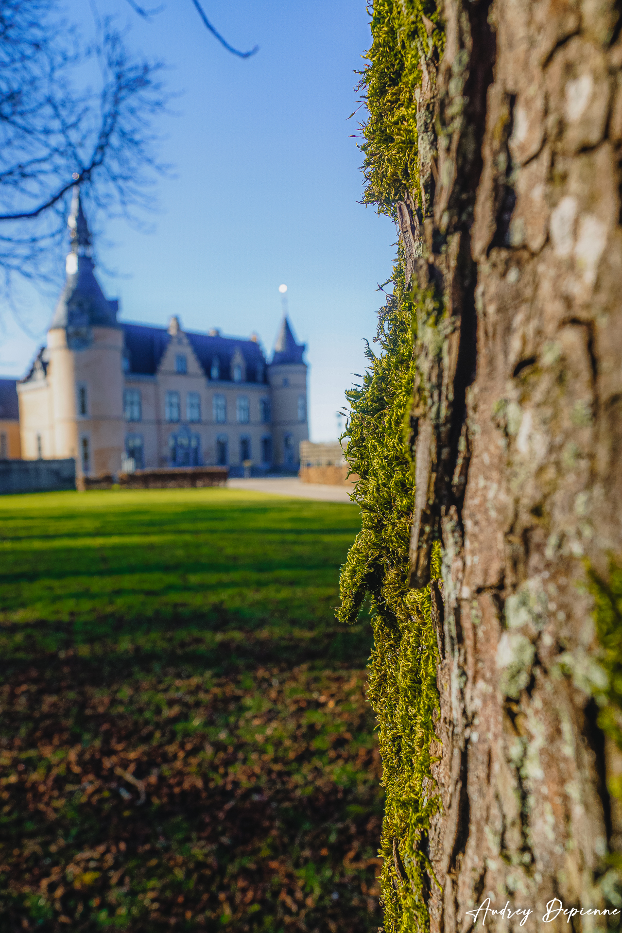 Château du Faing (2)