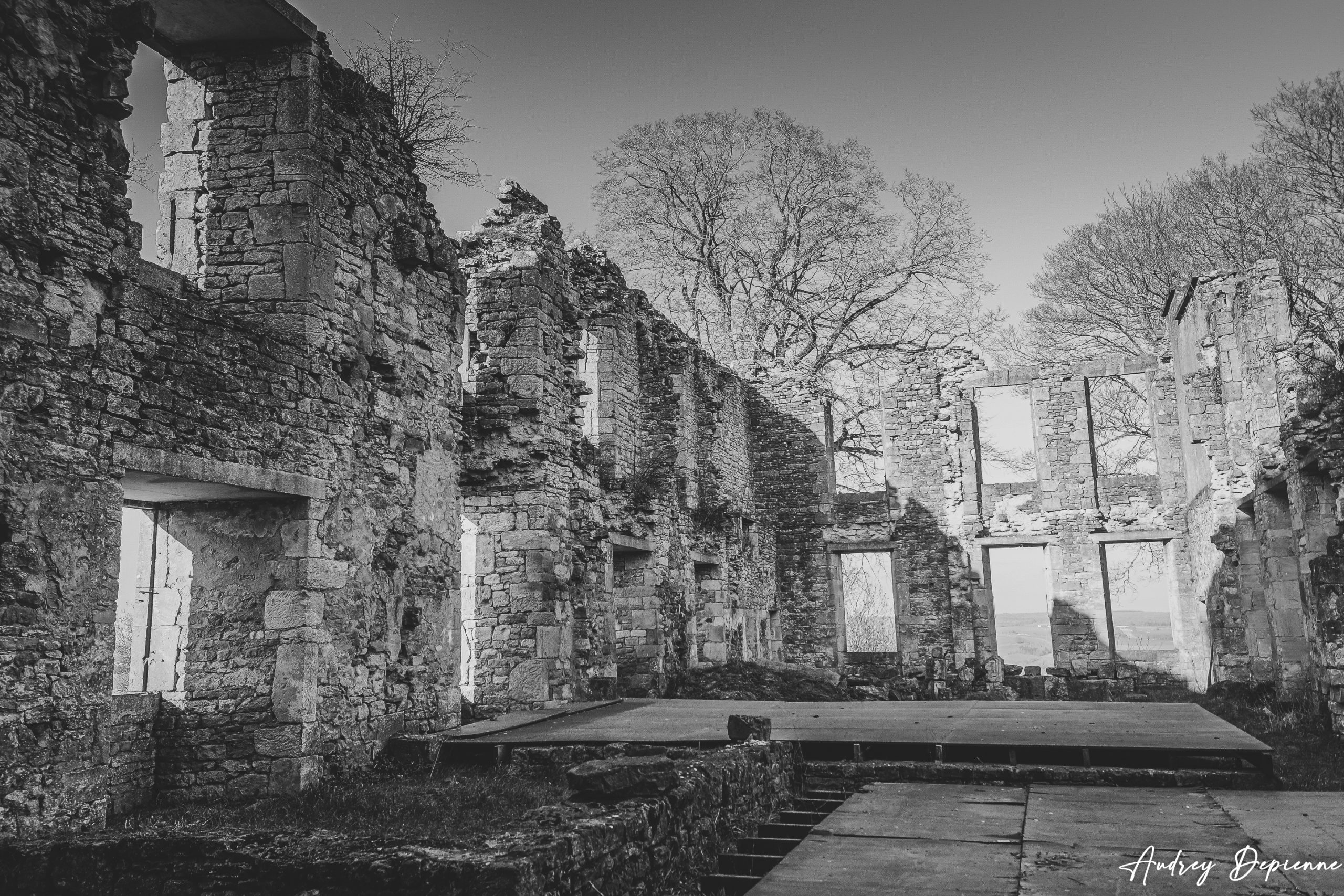 Ruines de Montquintin