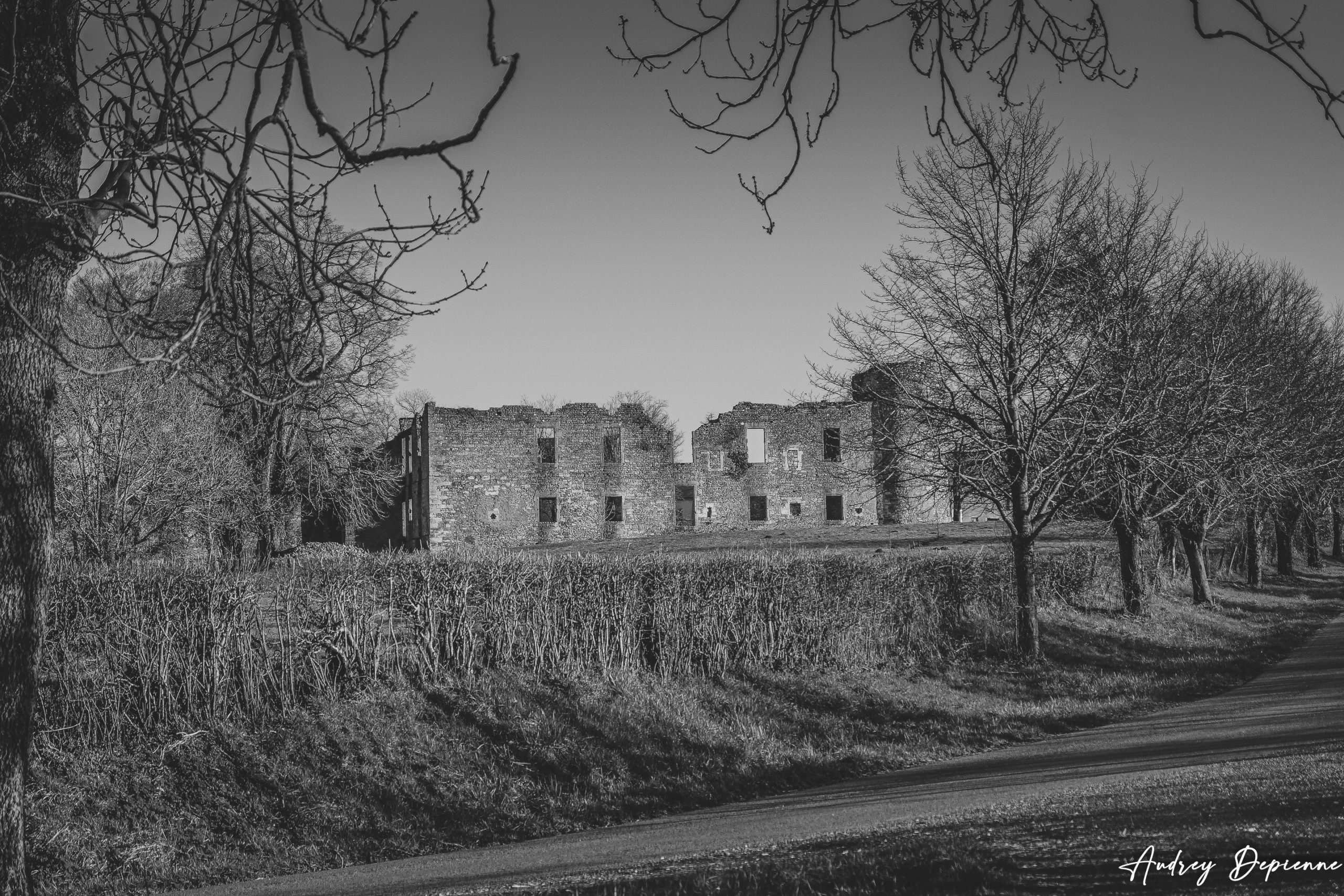 Ruines de Montquintin (3)