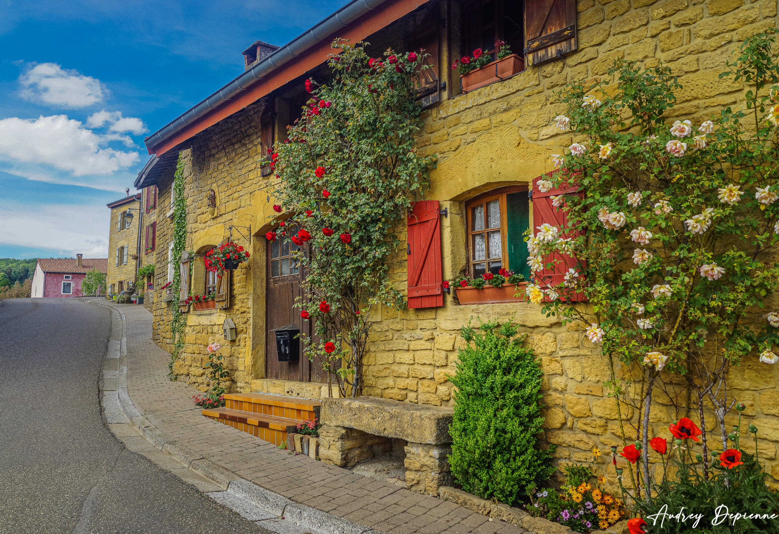 Provence Gaumaise (Torgny 3)