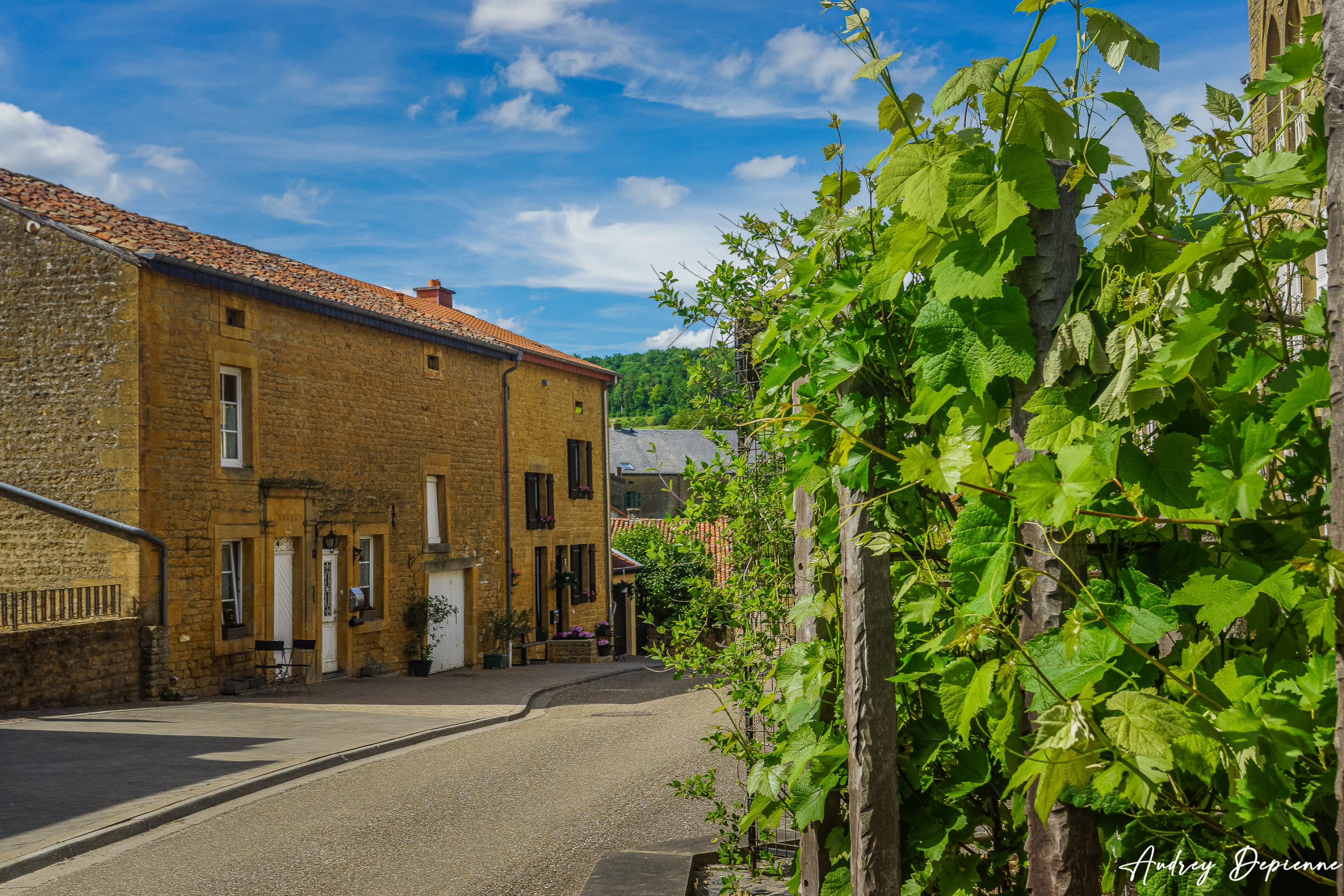 Provence Gaumaise (Torgny 4)