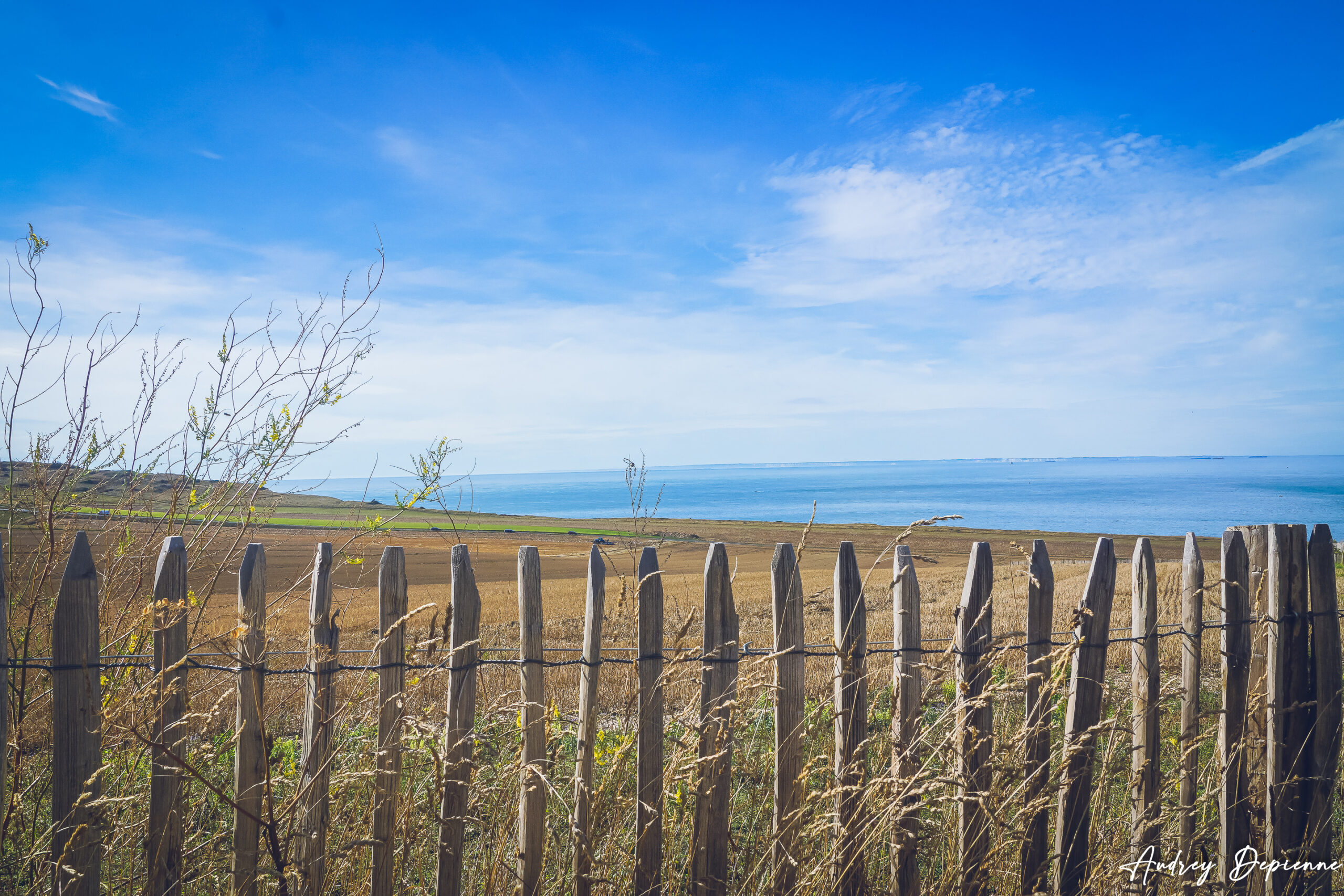 Cap Blanc Nez(3)