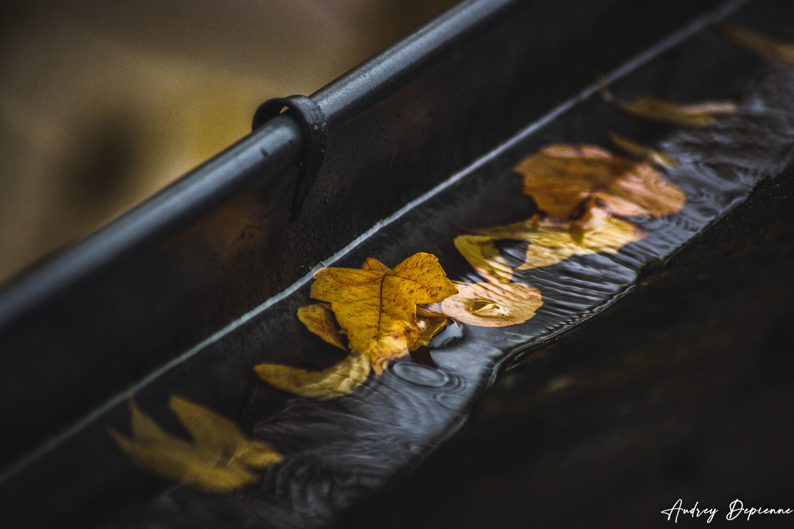 L’automne est arrivé !