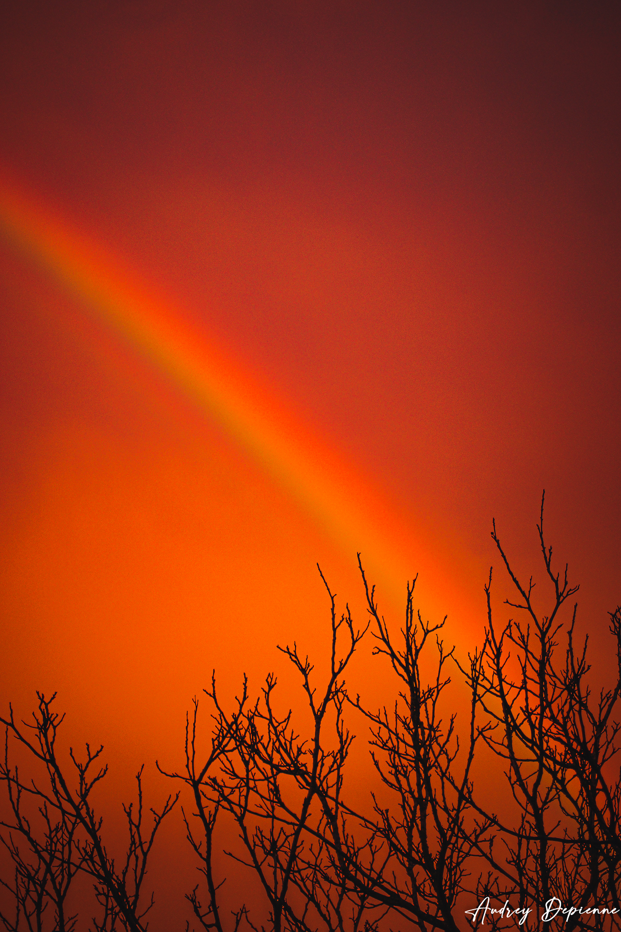 Arc en ciel de feu