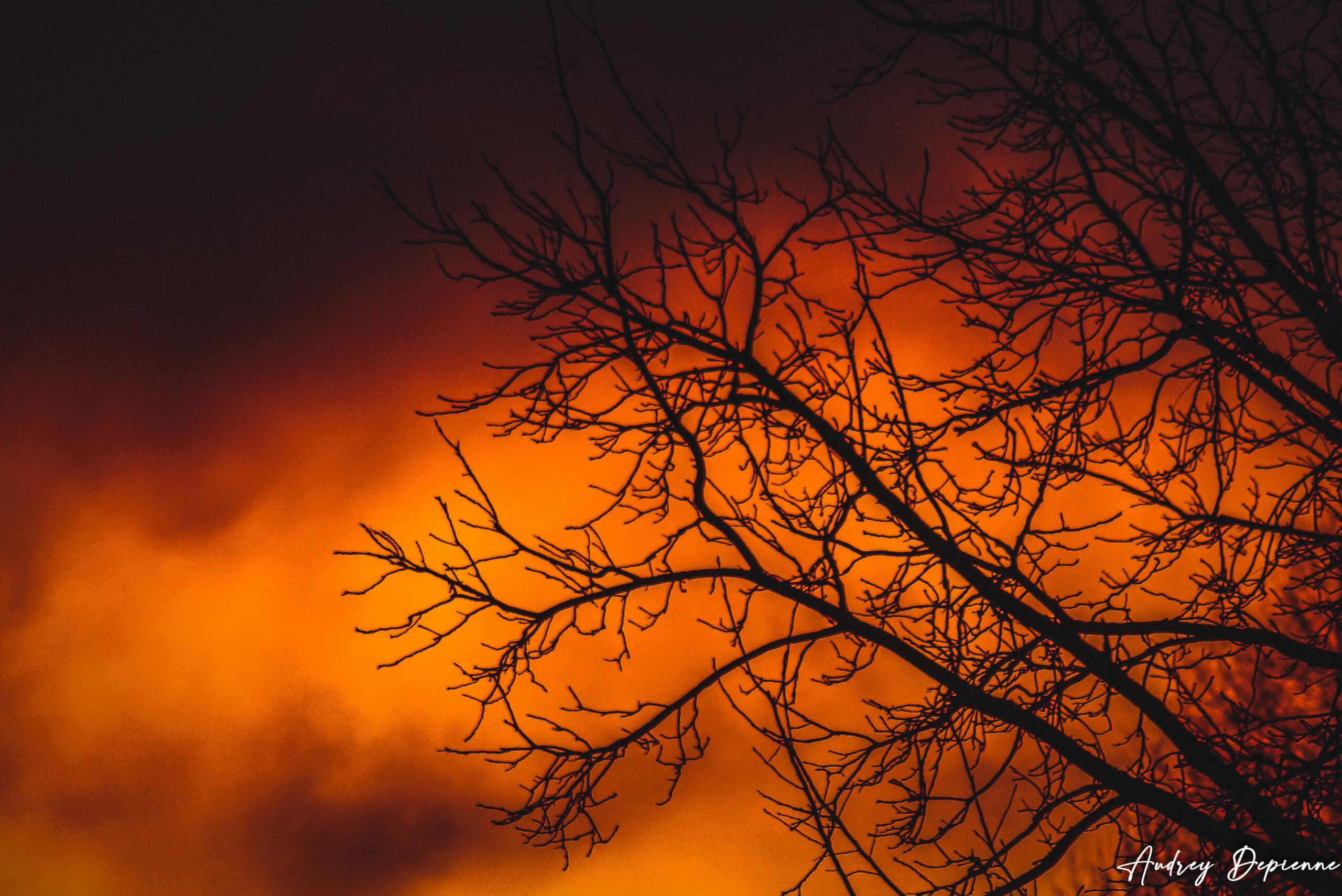 Le ciel s’habille en orange