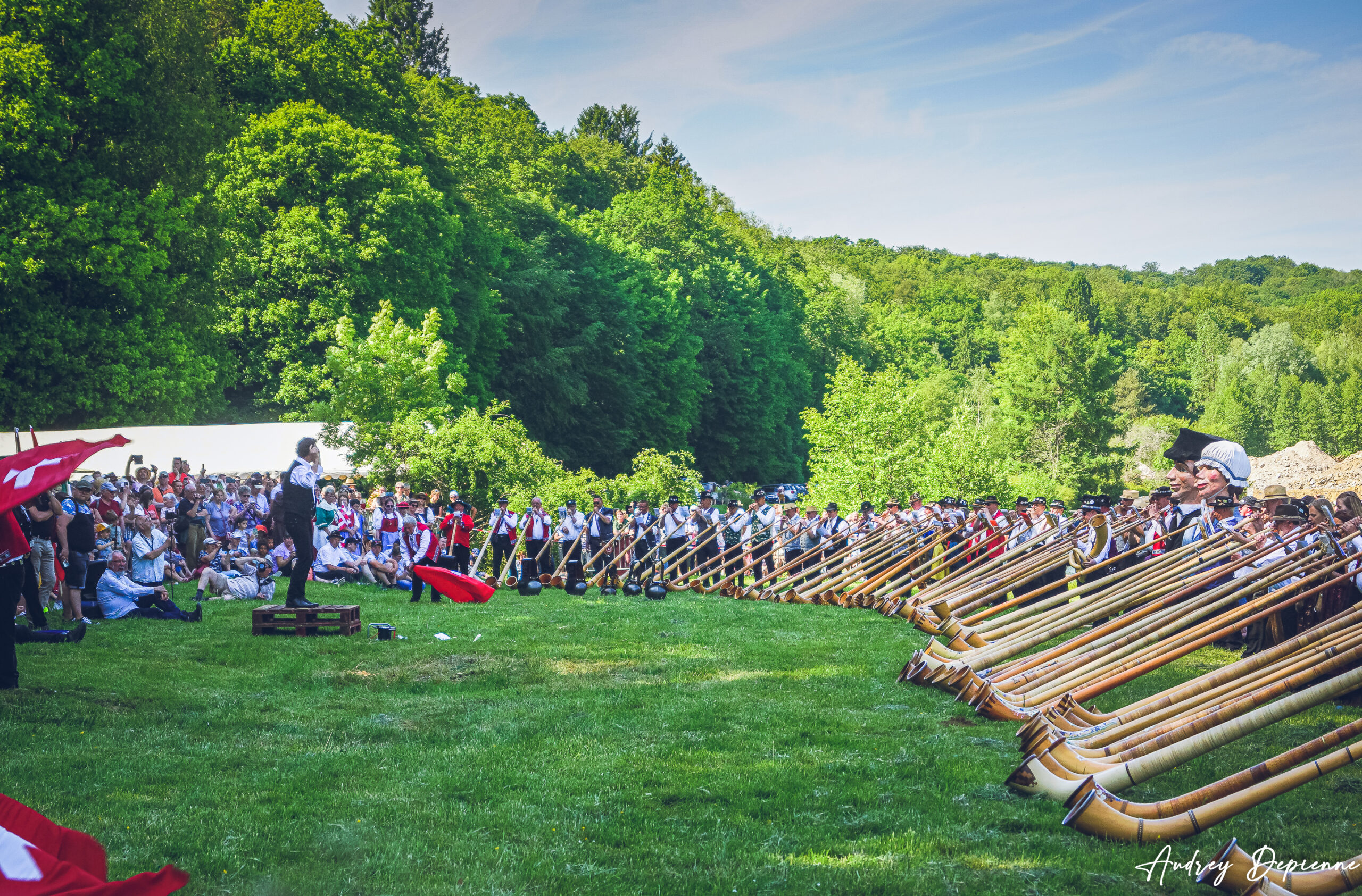 Rassemblement Cors des Alpes