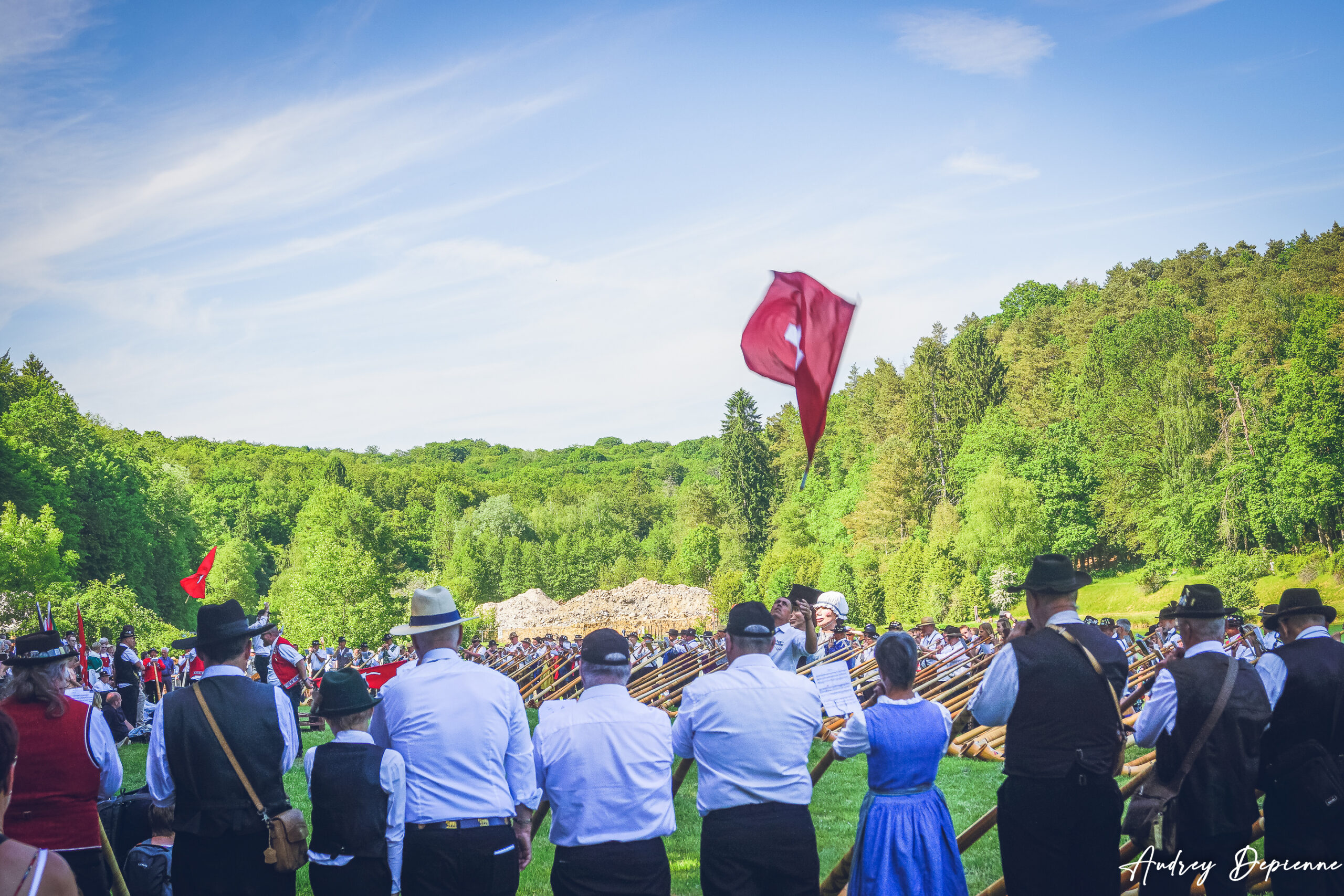 Rassemblement Cors des Alpes (2)