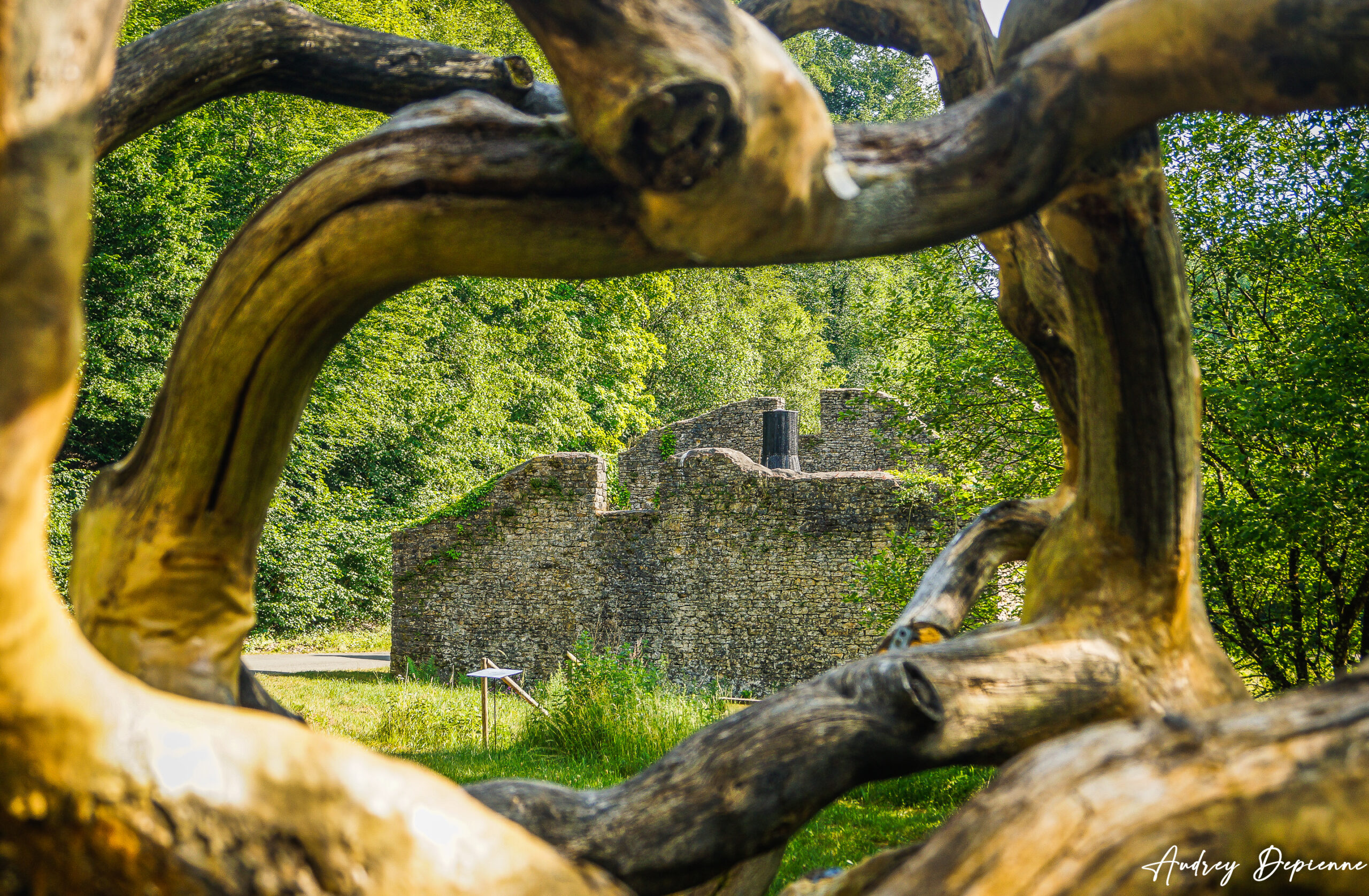 Ruines de Montauban