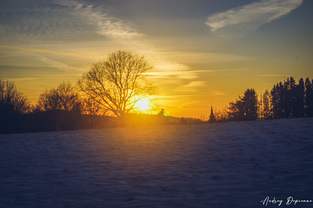 Soleil d’hiver (2)