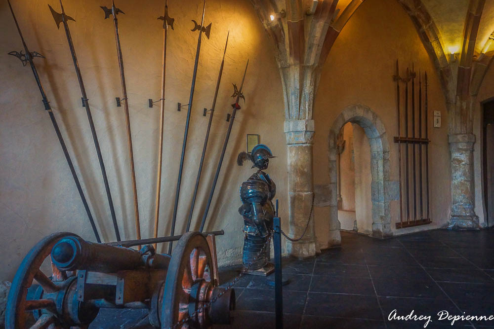 Château de Vianden (2)