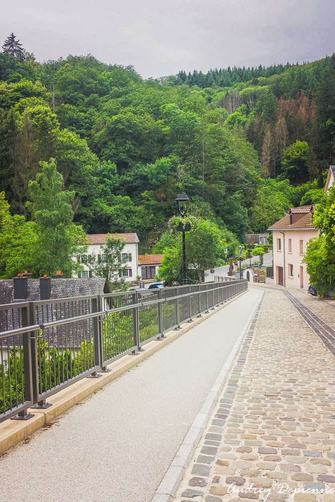 Château de Vianden (7)