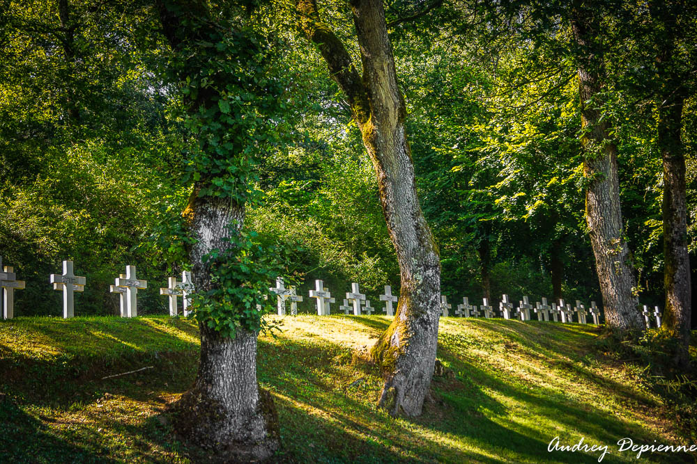 Cimetière des souvenirs (3)