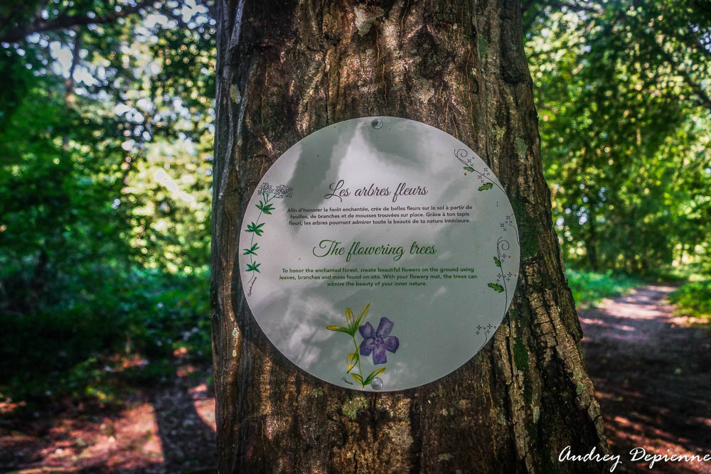 Sentier de l’arbre sacré (4)