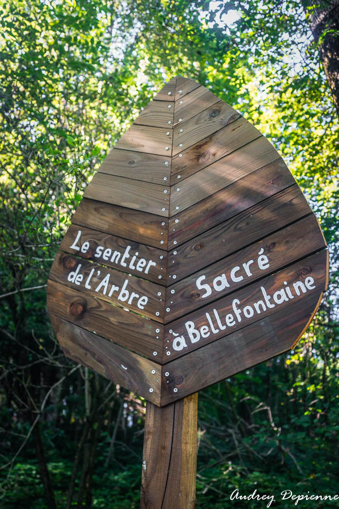 Sentier de l’arbre sacré (5)