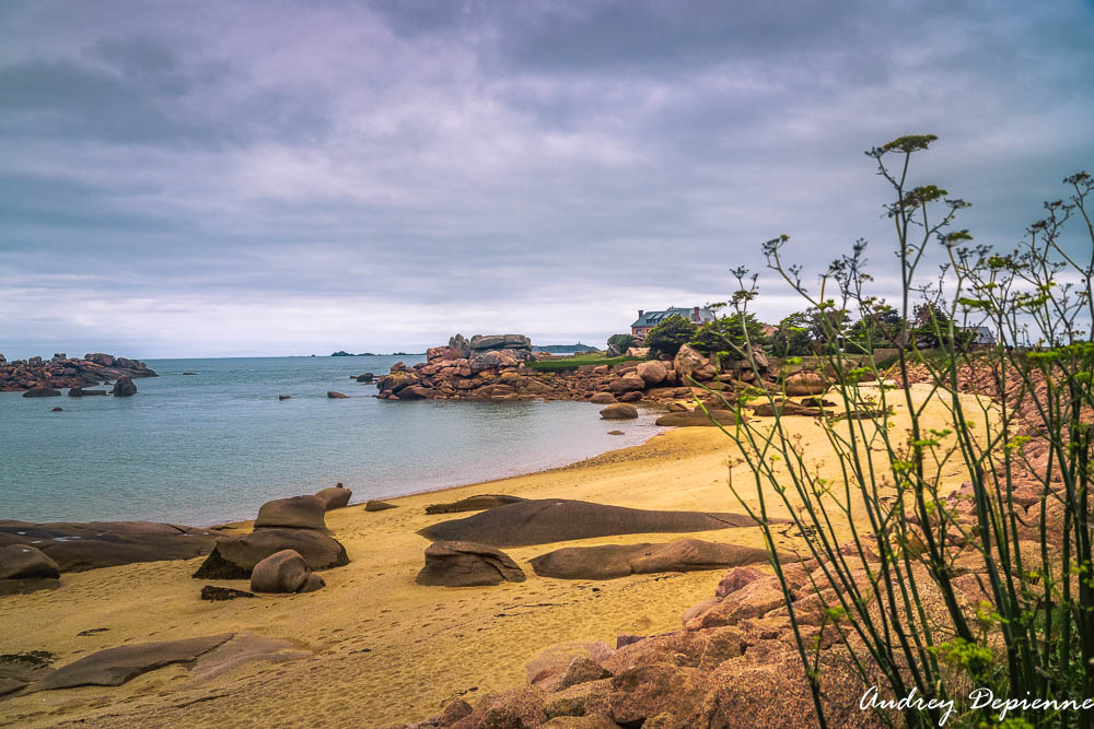 Bretagne – Presqu’île Renote (3)