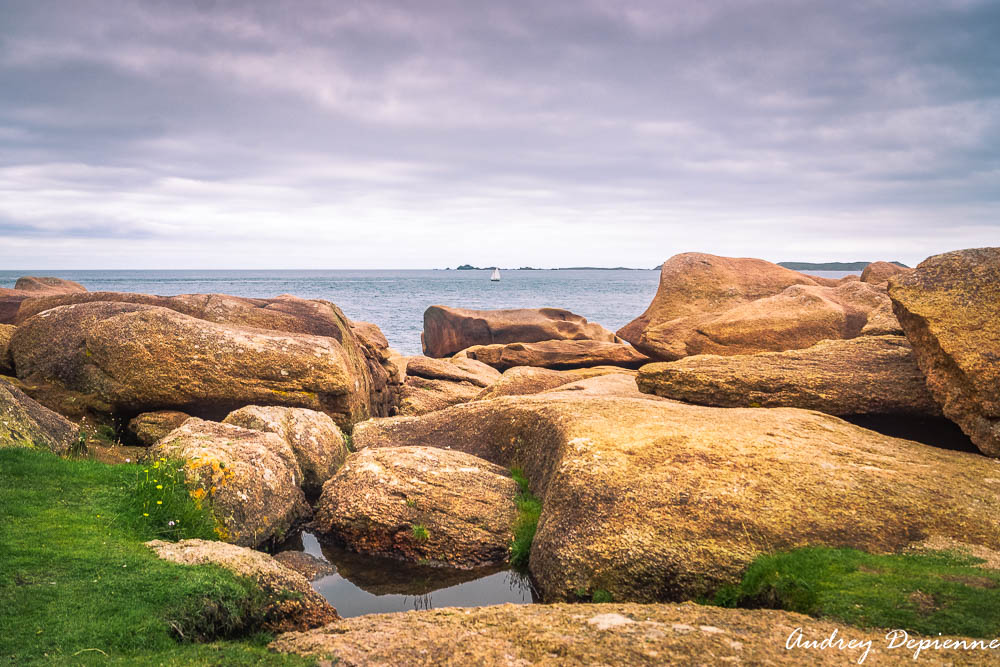 Bretagne – Presqu’île Renote (4)