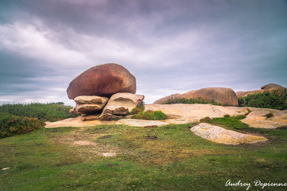 Bretagne – Presqu’île Renote (5)