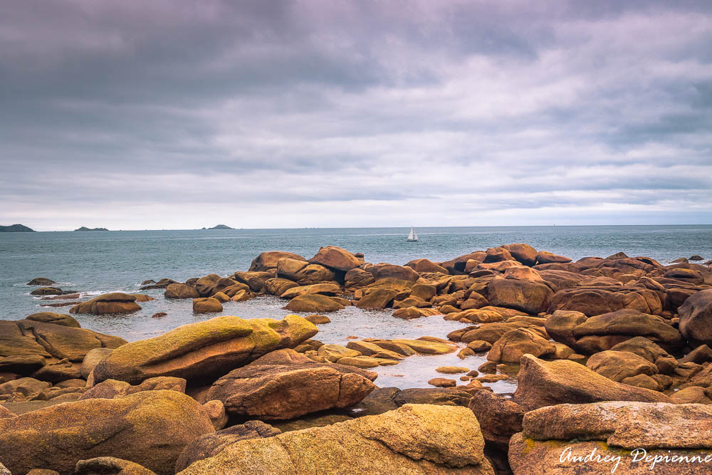 Bretagne – Presqu’île Renote (6)