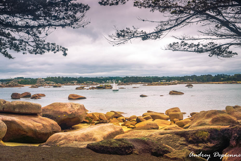 Bretagne – Presqu’île Renote (7)