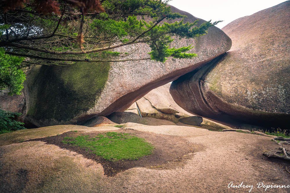 Bretagne – Presqu’île Renote (8)