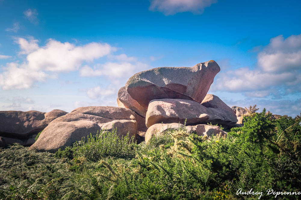 Bretagne – Ploumanac’h (3)