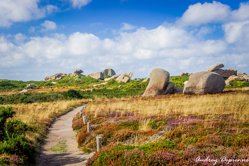 Bretagne – Ploumanac’h (7)